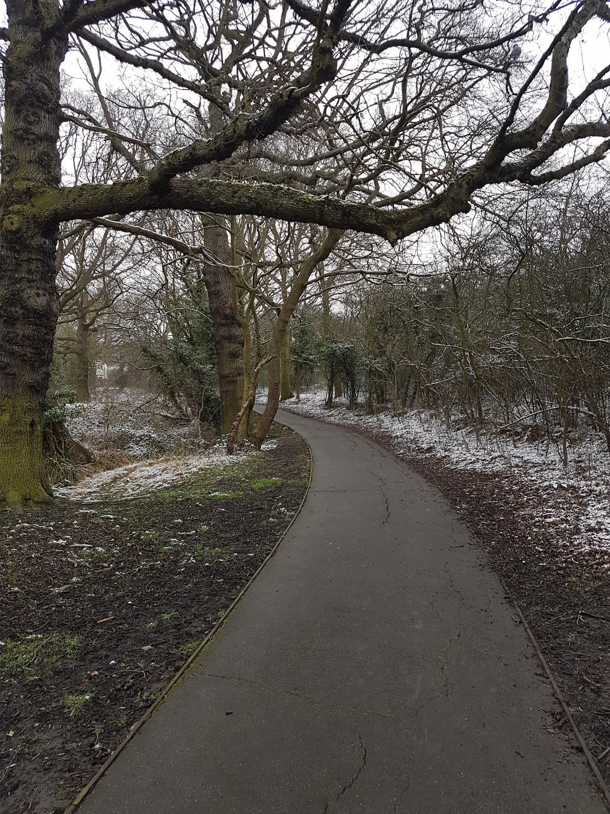 Rise Park - Image 1