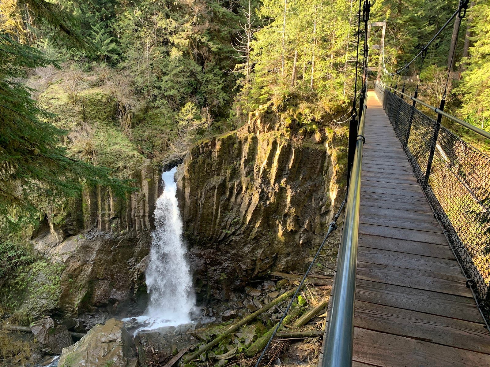 Drift Creek Falls Trail - Image 1