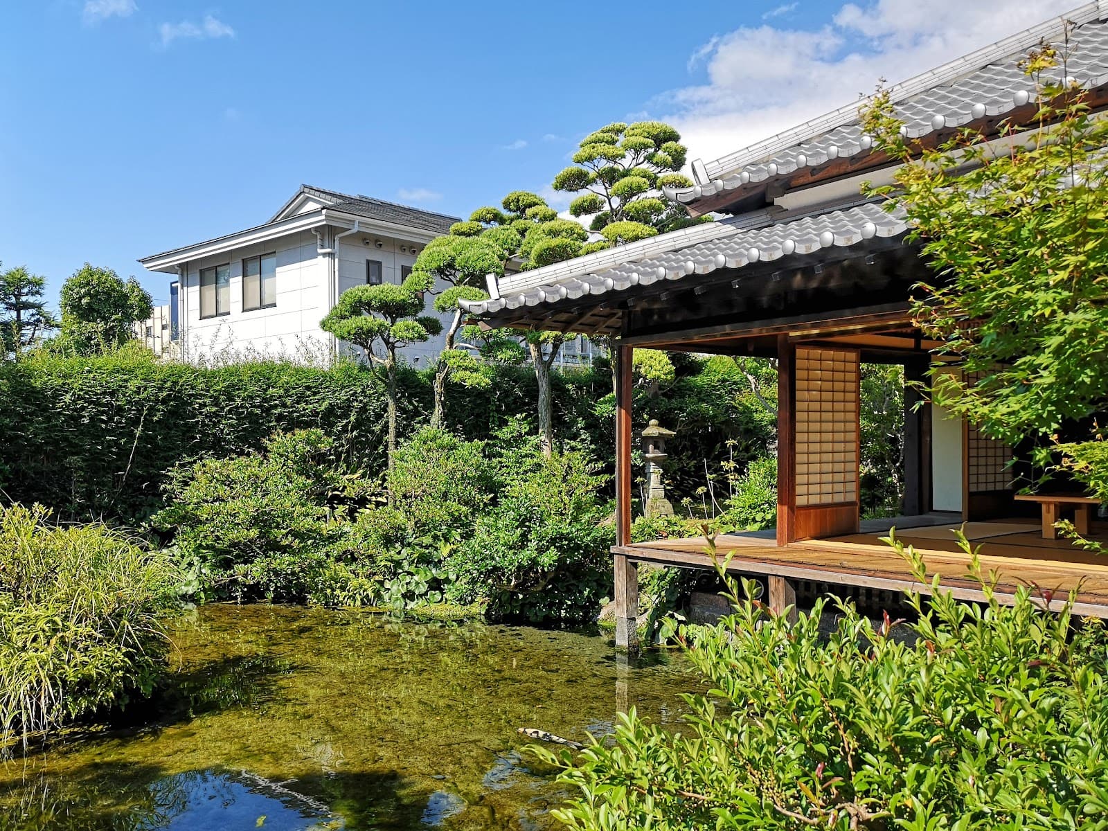 Shimeiso Spring Garden - Image 1