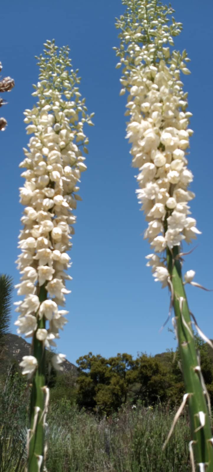 Scenic Mountain Drive