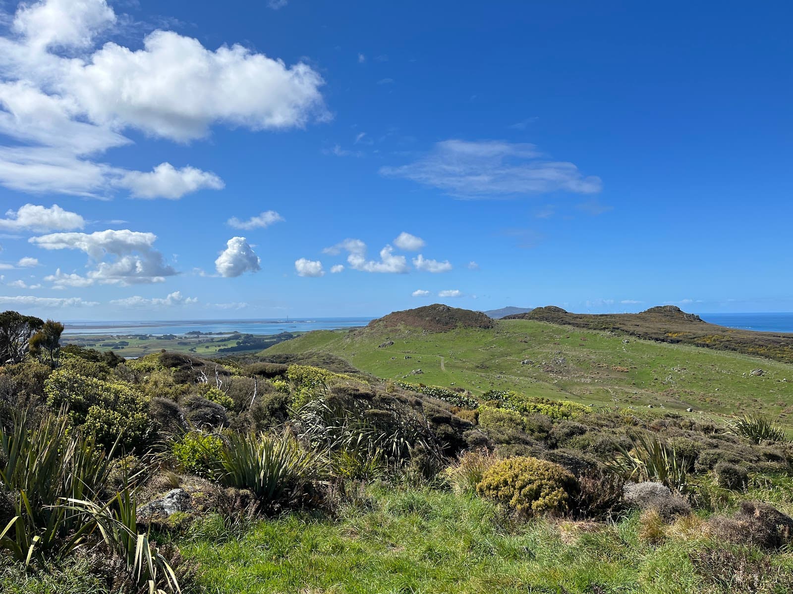 Omaui Scenic Reserve - Image 1