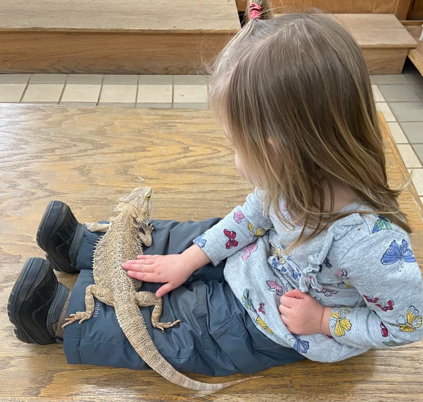Raven Hill Discovery Center - Image 1