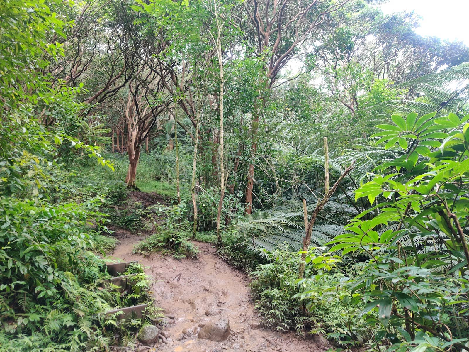 Cliff Jumping Opportunities