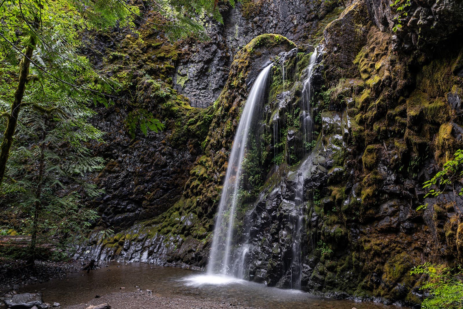 Fall Creek Falls (North Umpqua) - Image 1