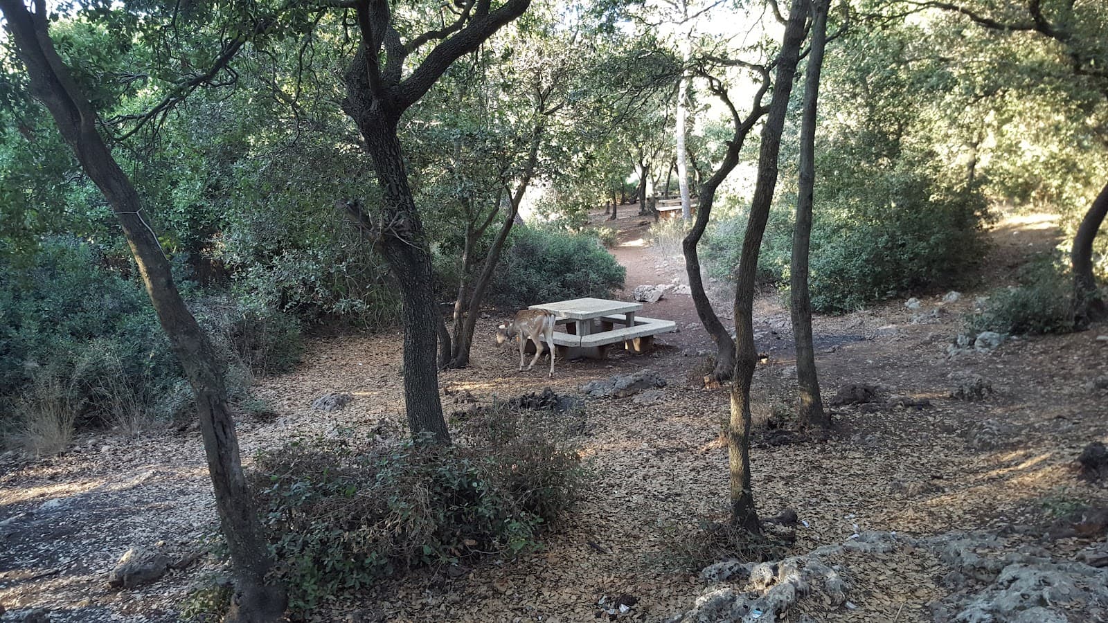 Little Switzerland (Israel) - Image 1