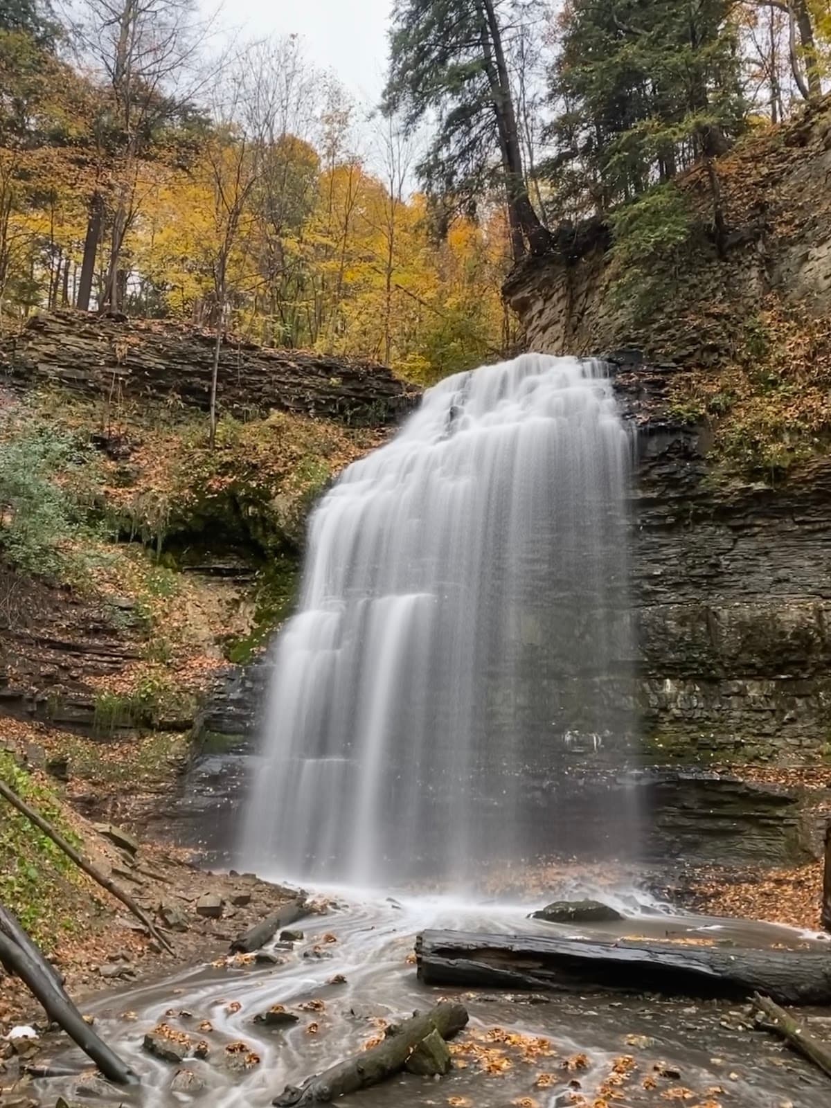 Tiffany Falls Hamilton - Image 1