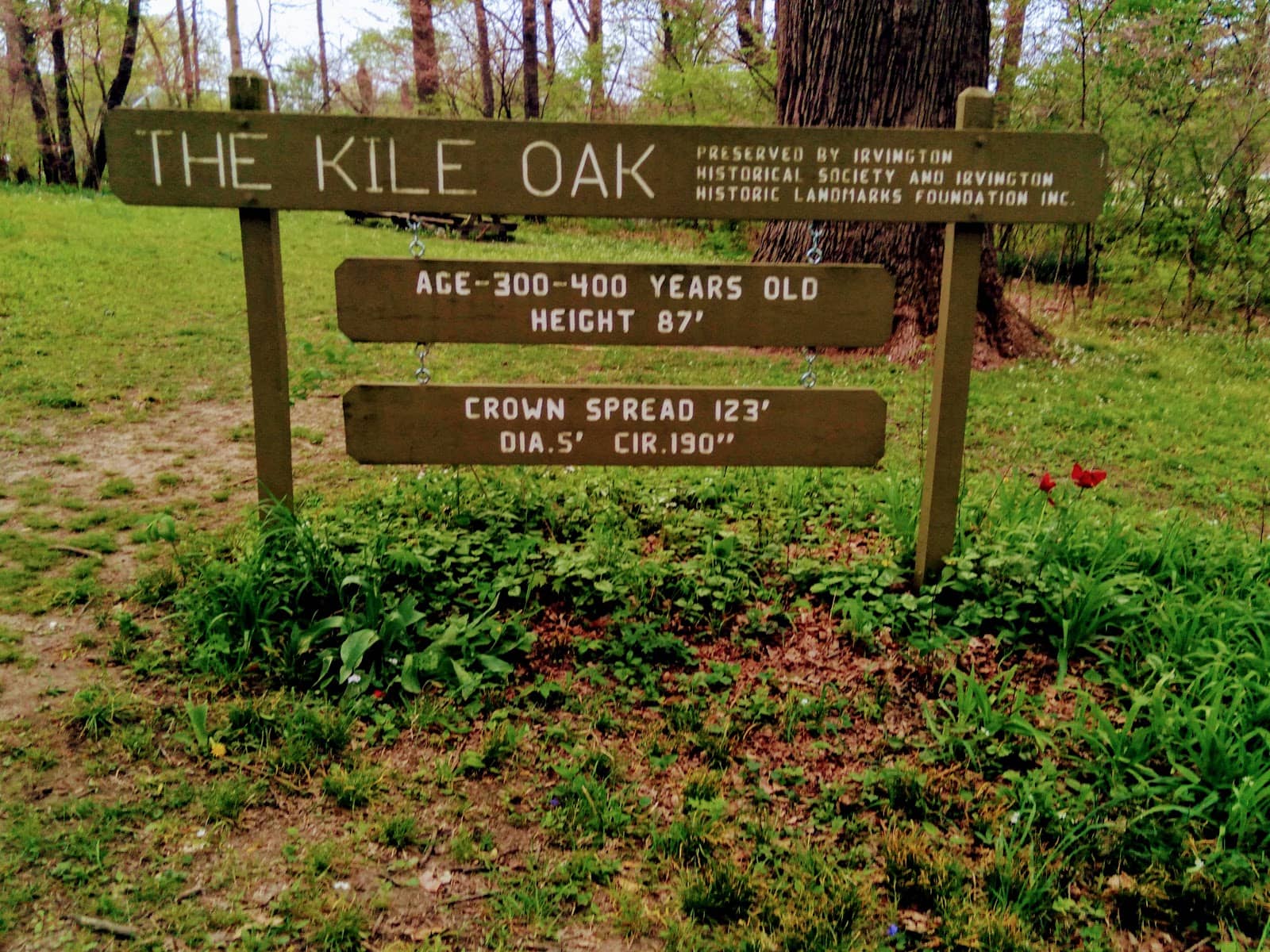 Historic Irvington Neighborhood