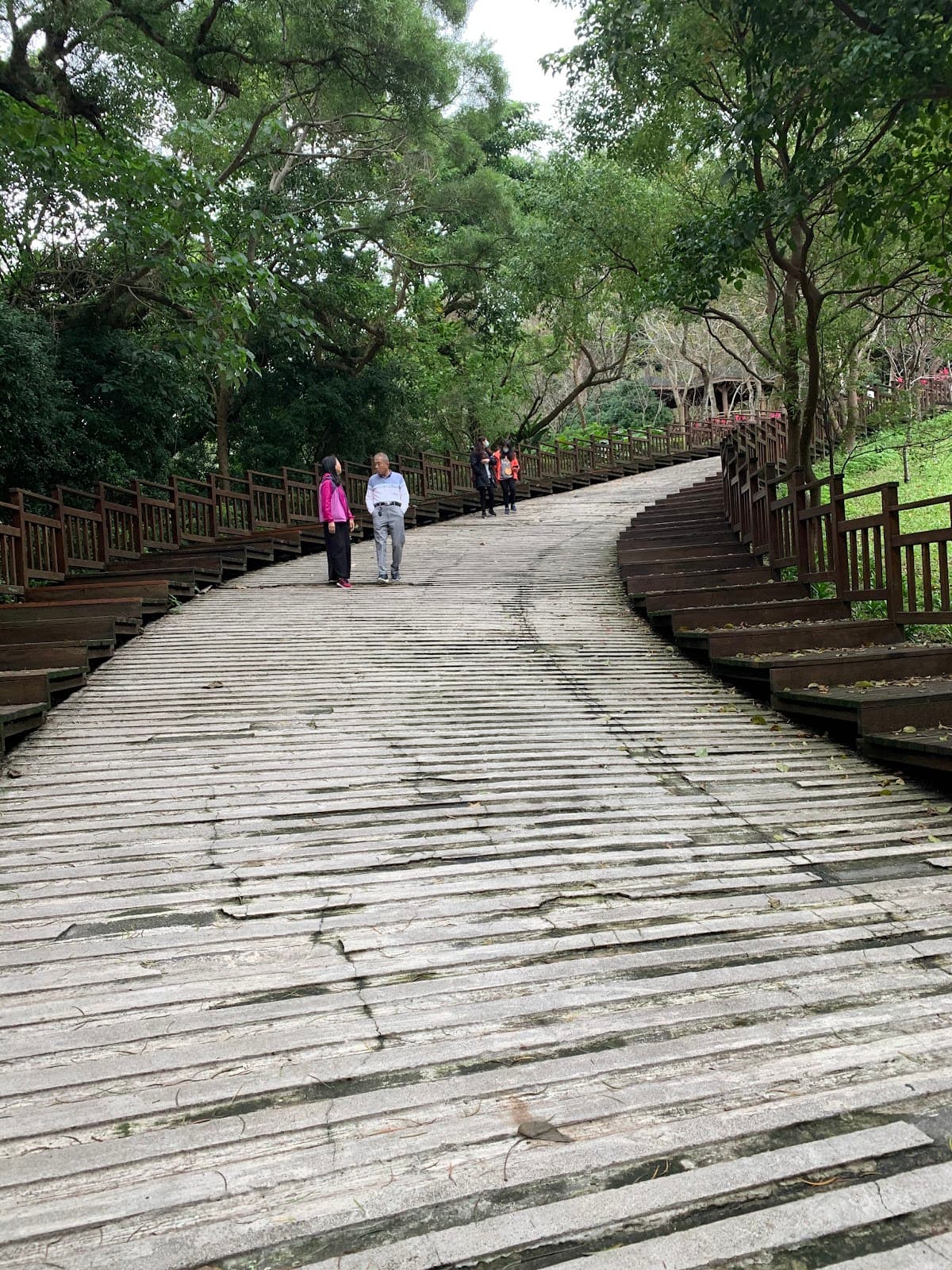 Meilunshan Park - Image 1