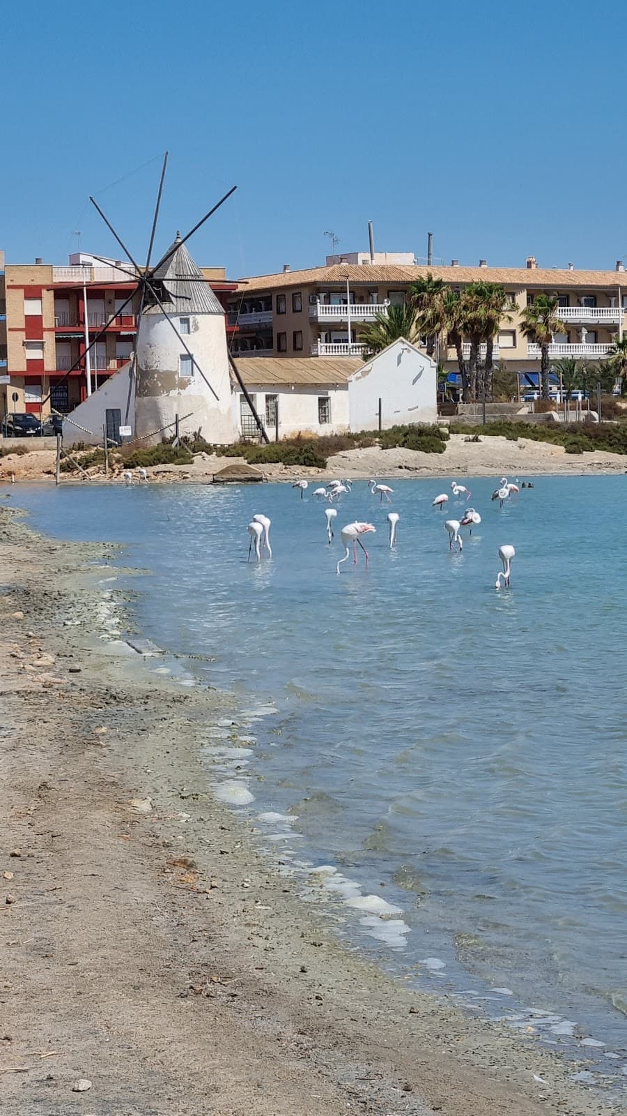 Lo Pagán Beach - Image 1