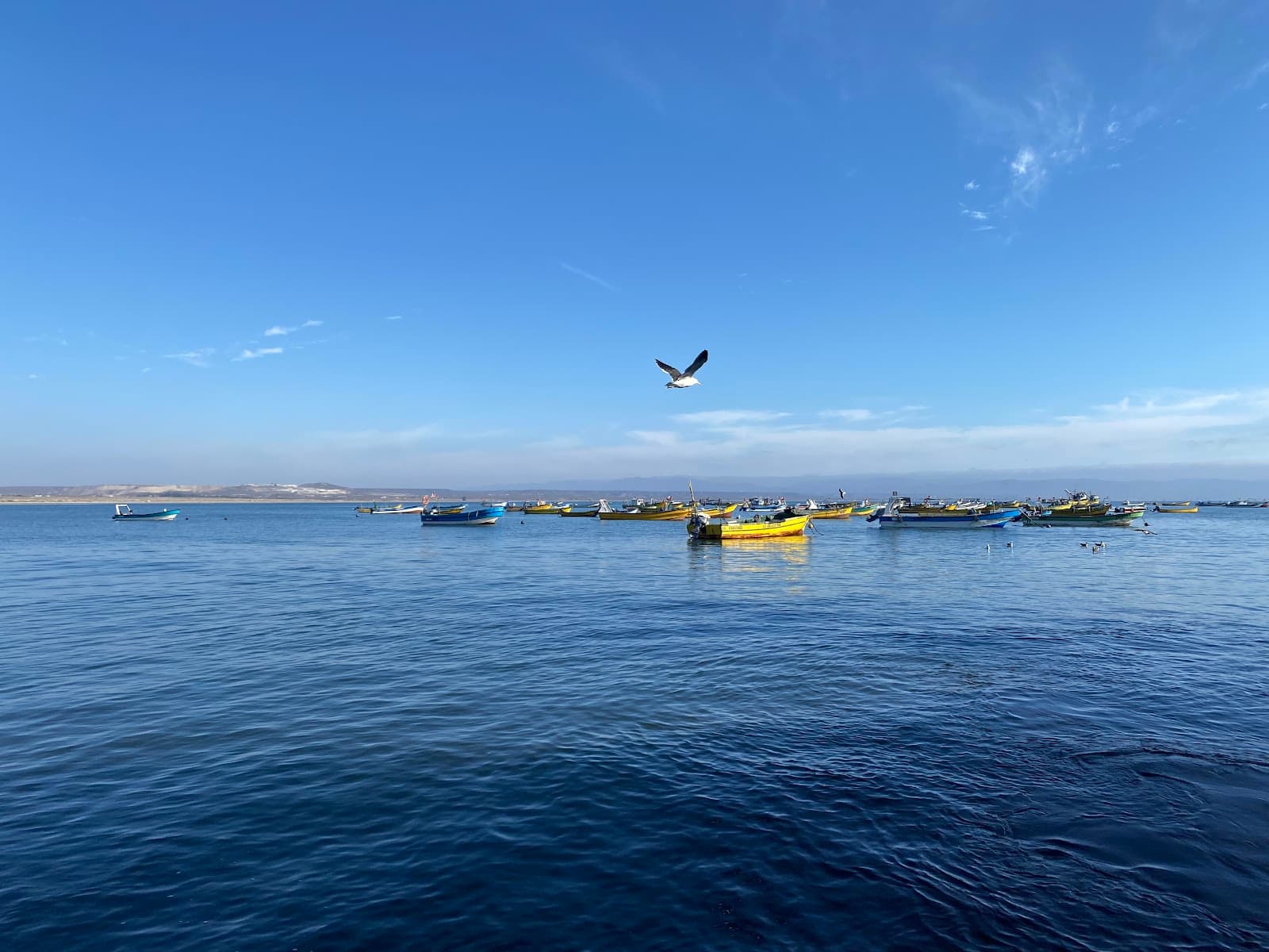 Tongoy Pier (Muelle) - Image 1