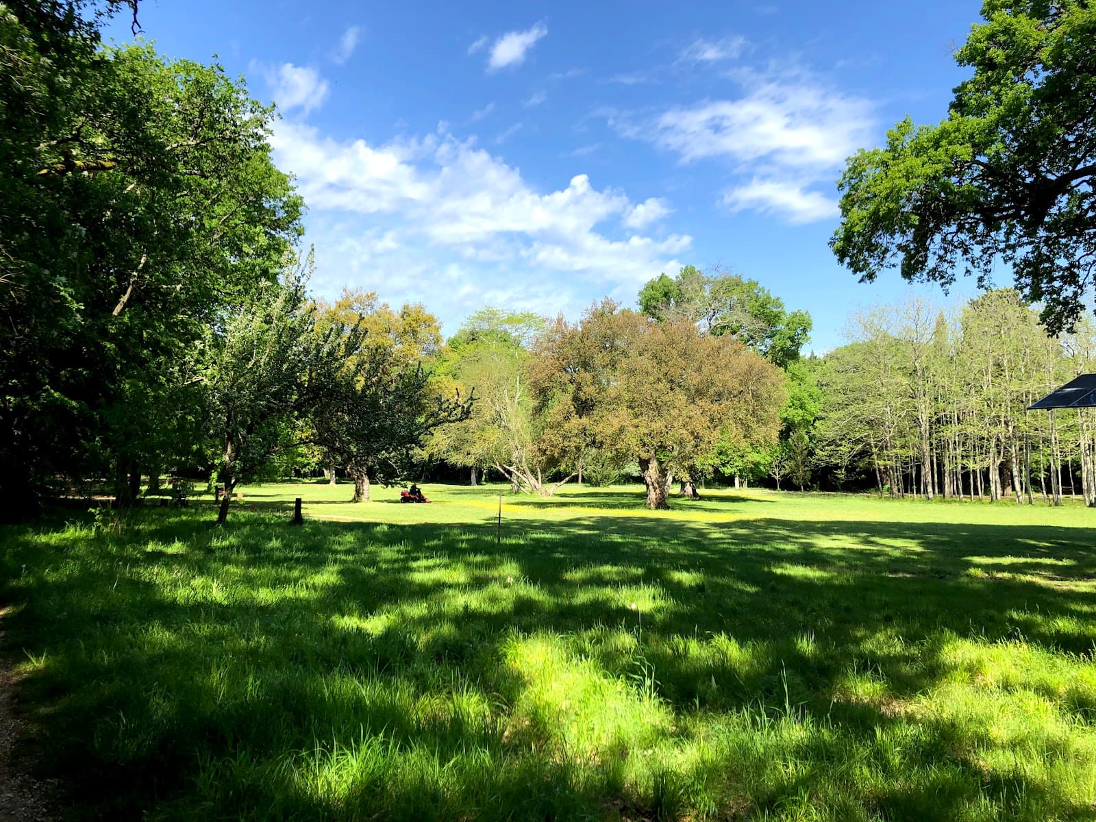 Šijana Forest Park Pula - Image 1