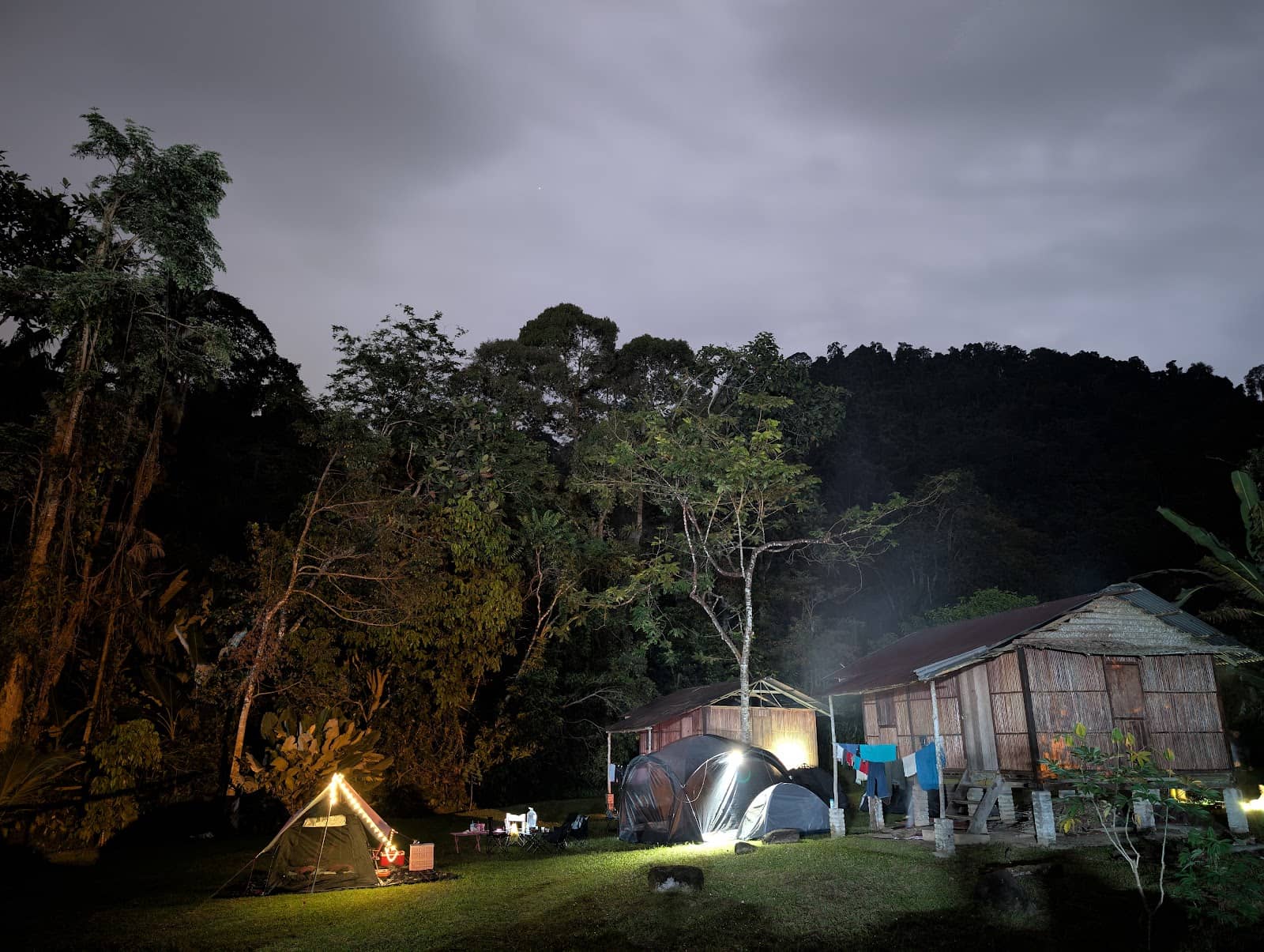 Rajah Brooke's Birdwing