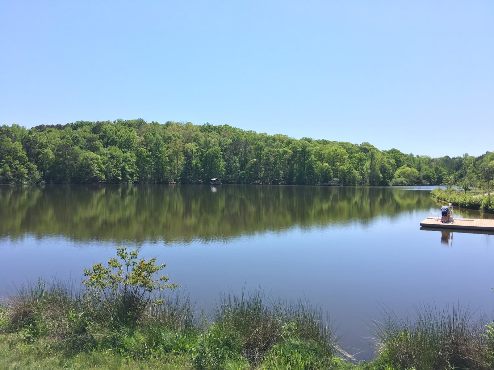 Trails behind UGA Intramural Fields, Athens - Image 1