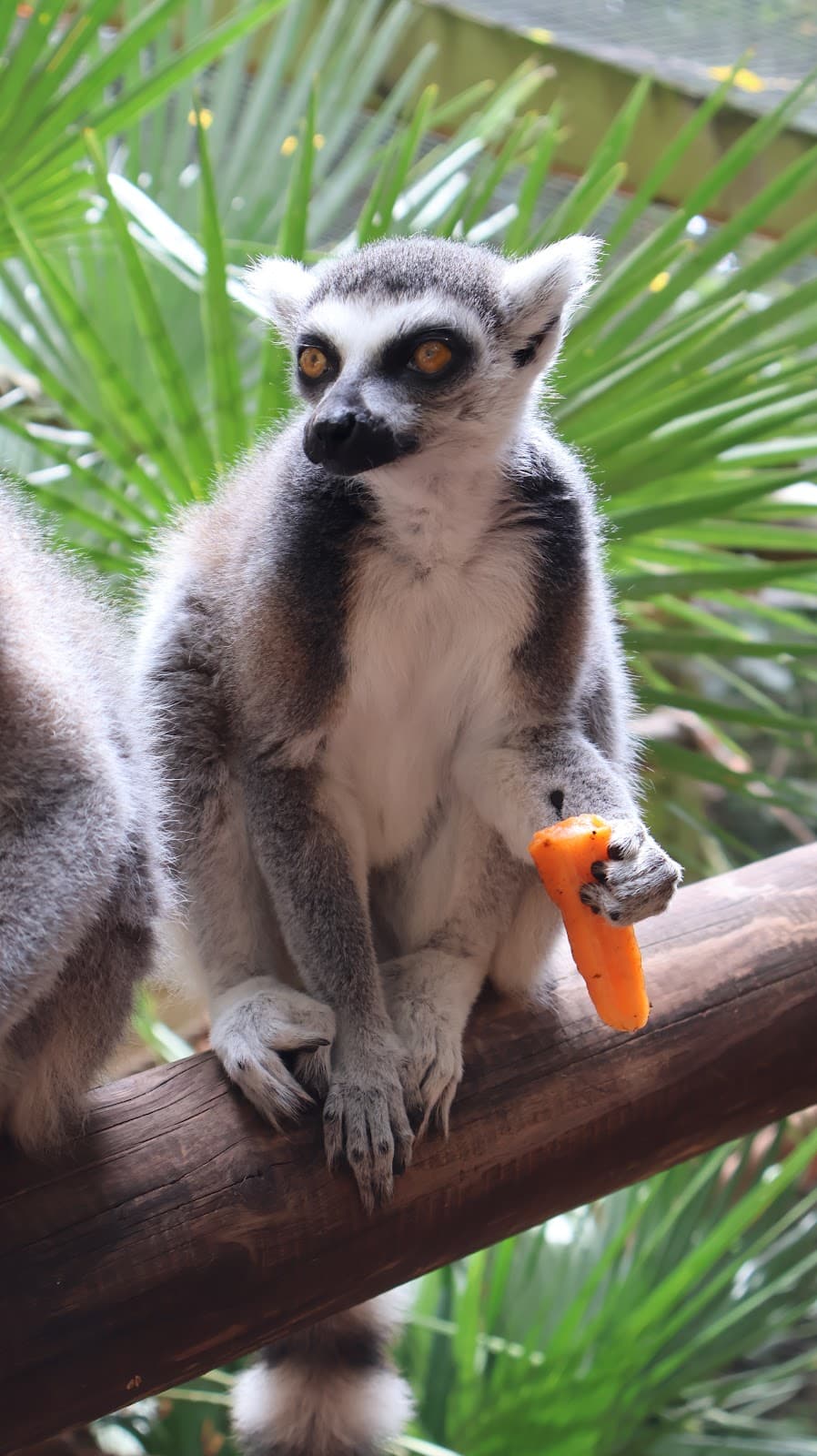 Shaldon Wildlife Trust (Zoo) - Image 1