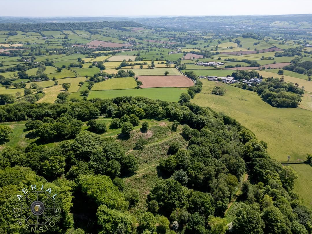 Hembury Hillfort and Woods - Image 1