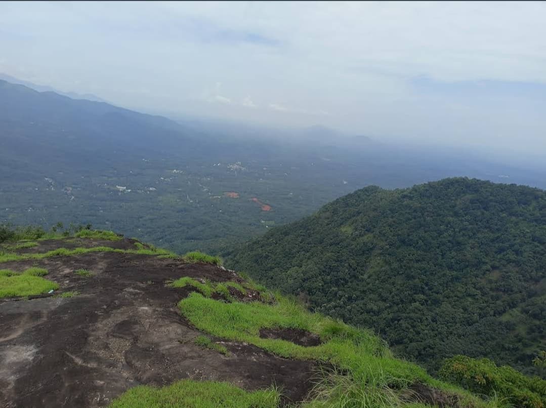 Kottiyoor Wildlife Sanctuary - Image 1