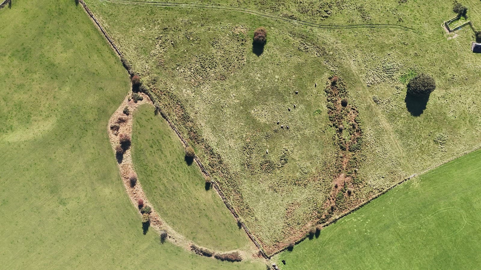 Priddy Circles Somerset - Image 1