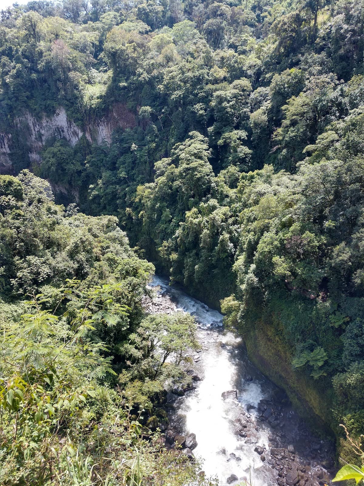 Vertical photo