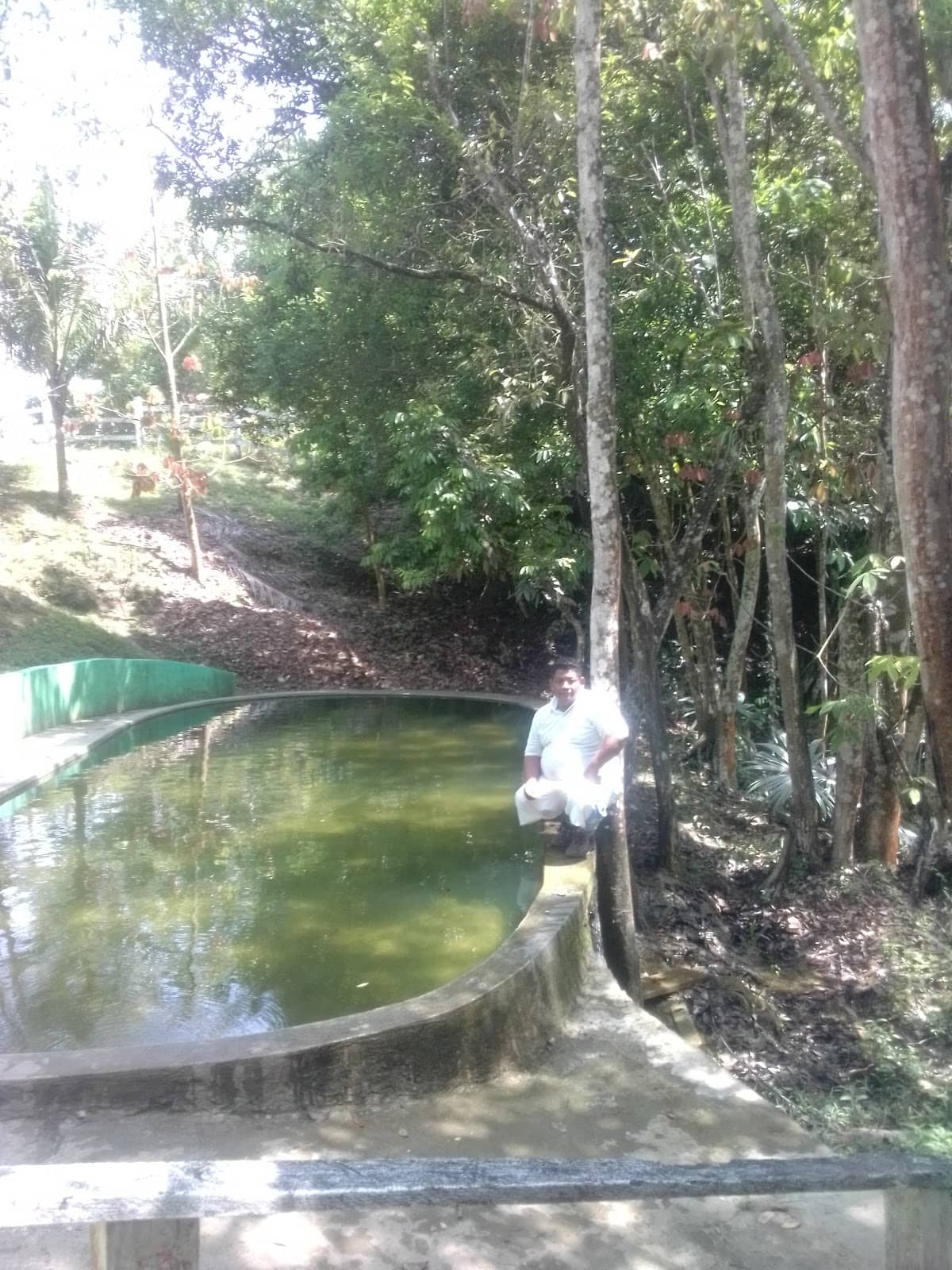 Vertical photo