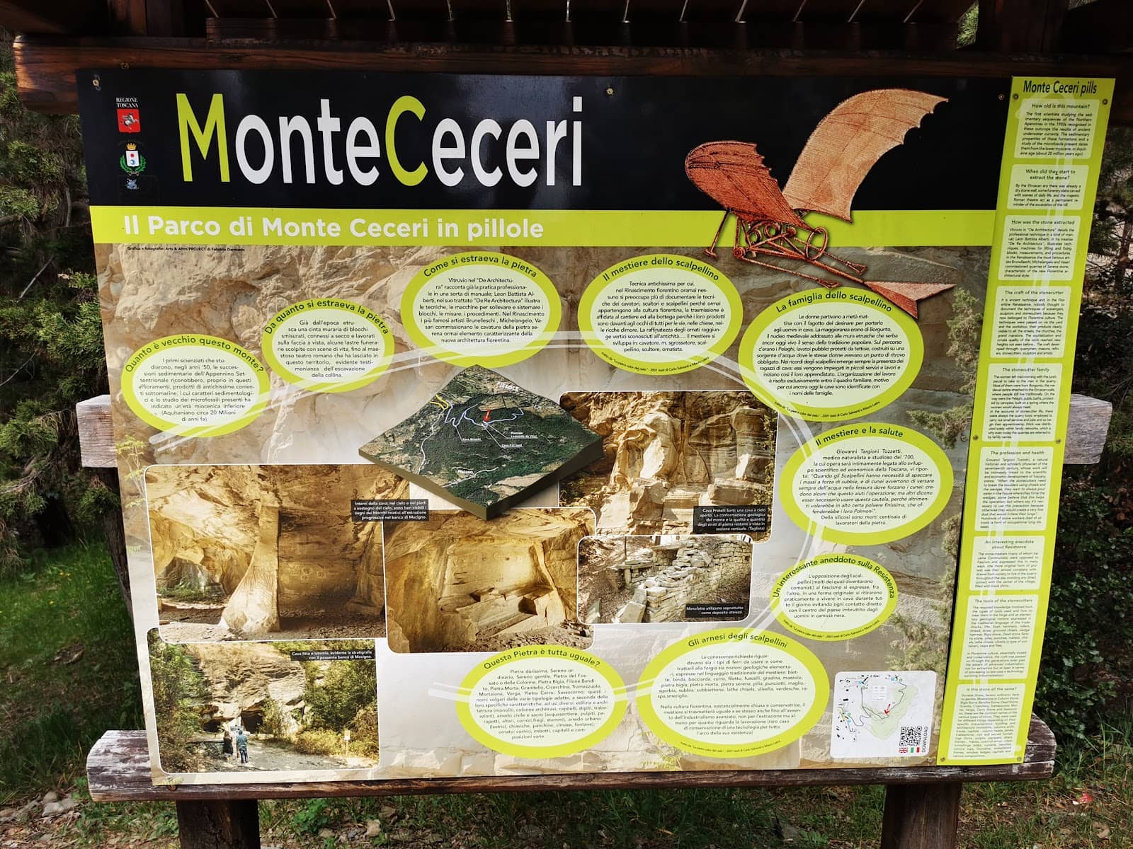 Tranquil Forest Ambiance