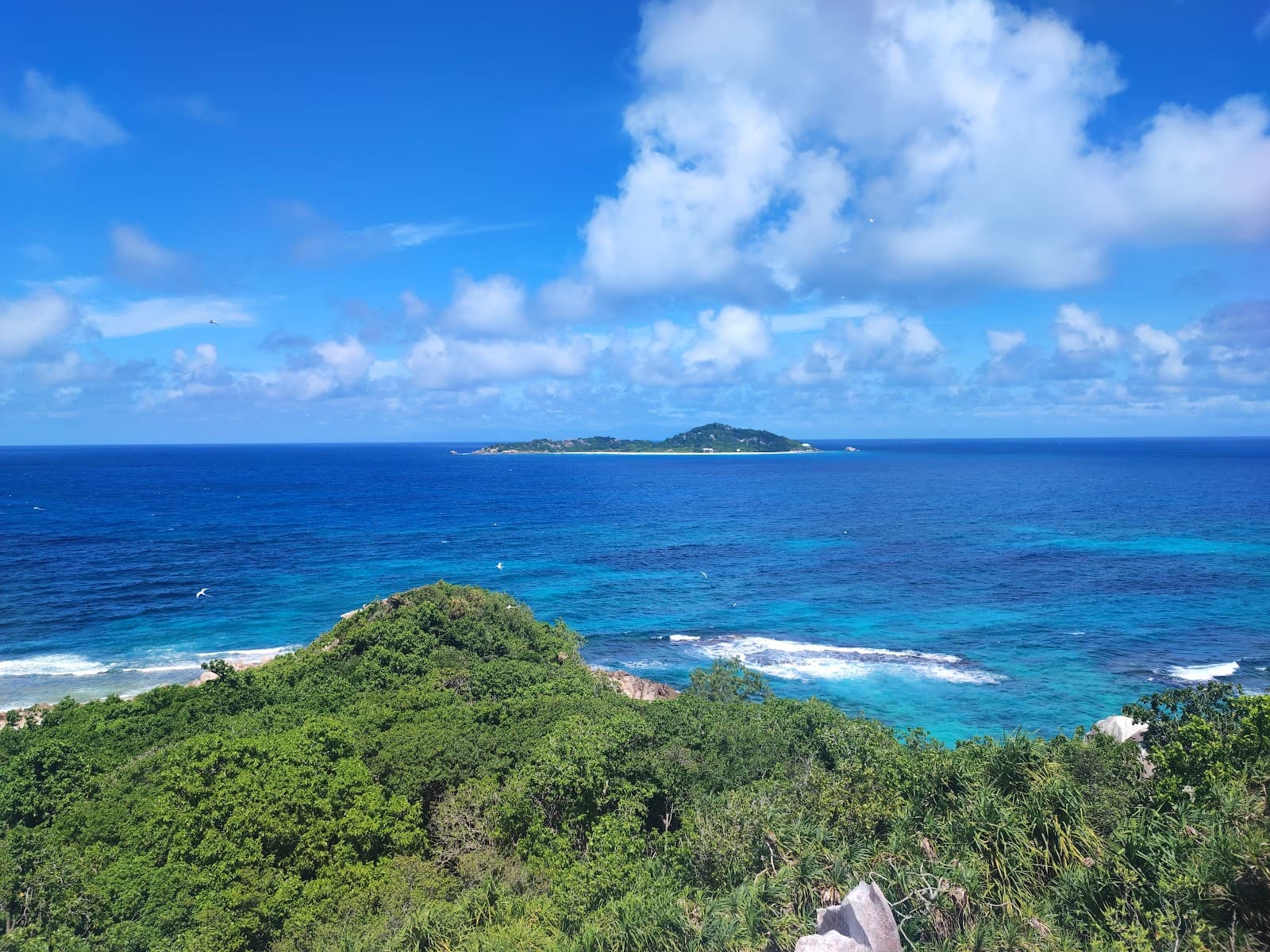 Cousin Island Special Reserve - Image 1