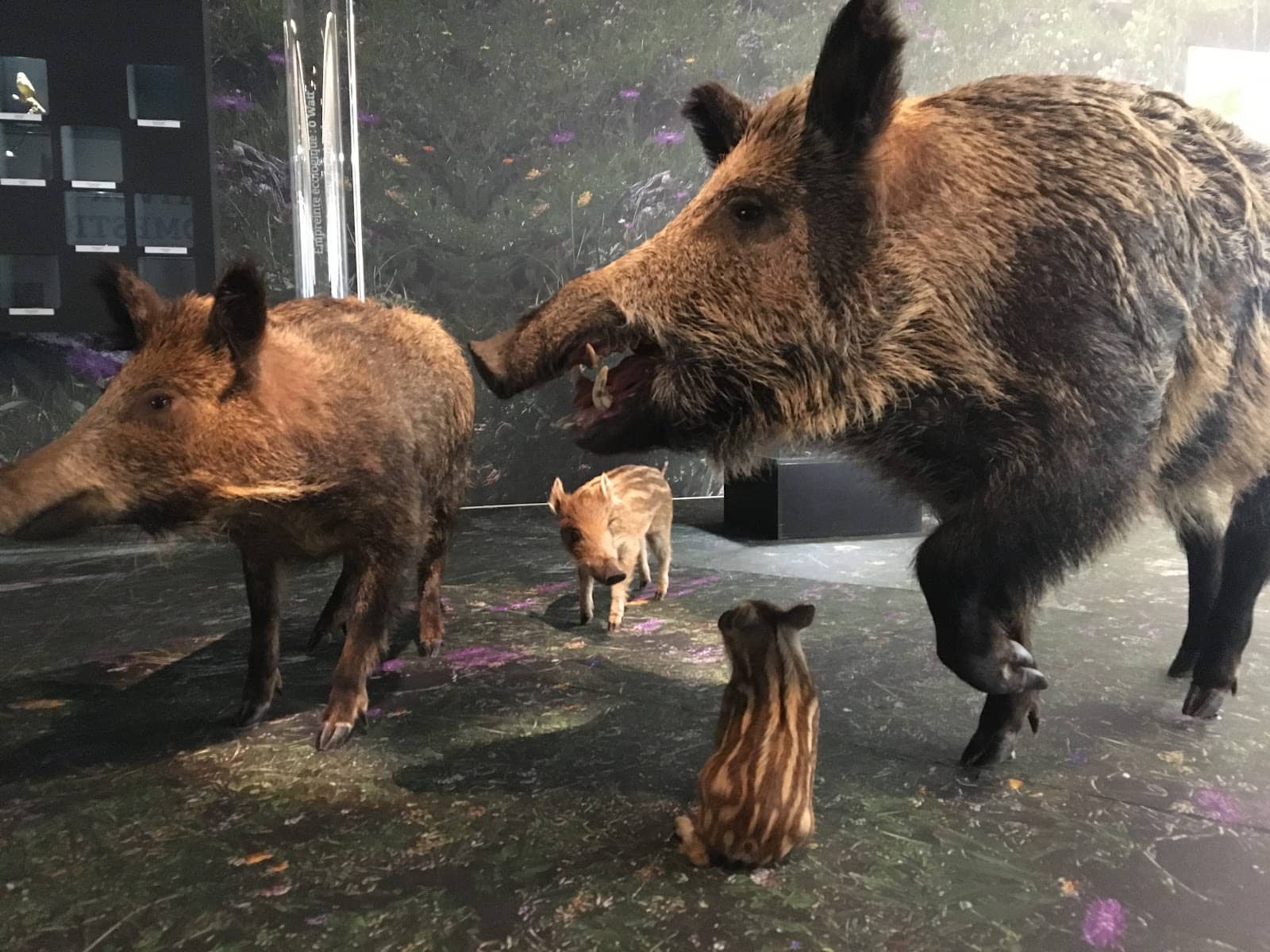 Environmental Photography