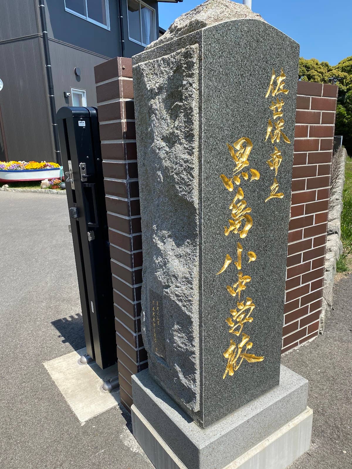 Island's Famous Cattle