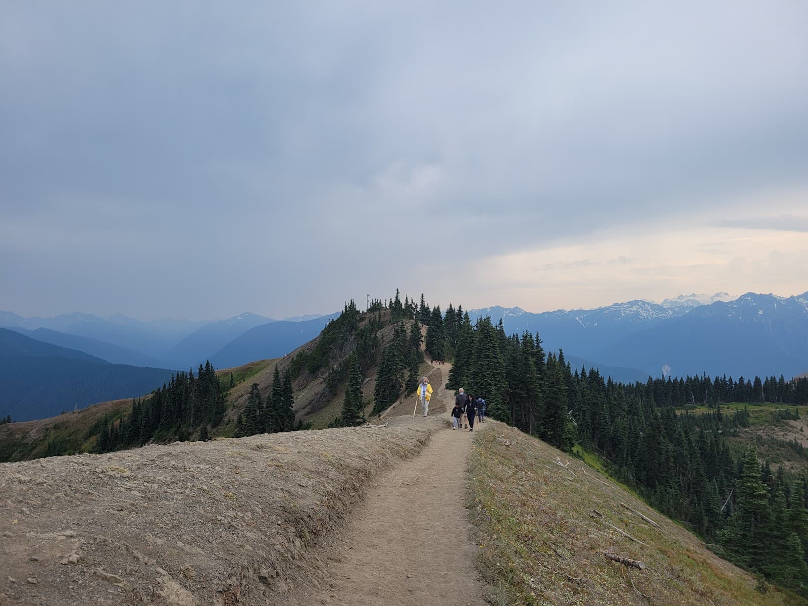 Hurricane Hill Trail Olympic National Park - Image 1