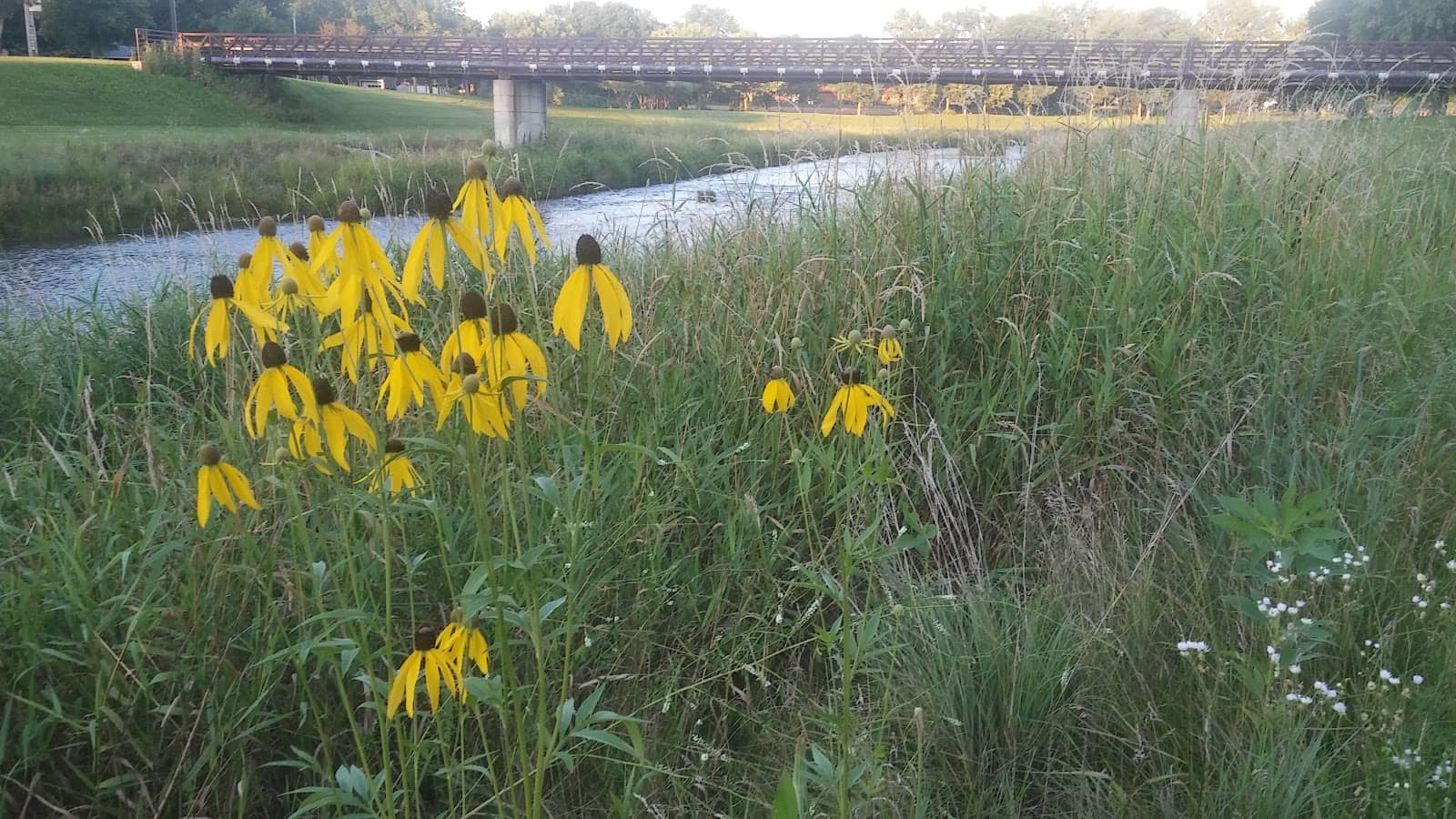 Slatterly Park Disc Golf Course