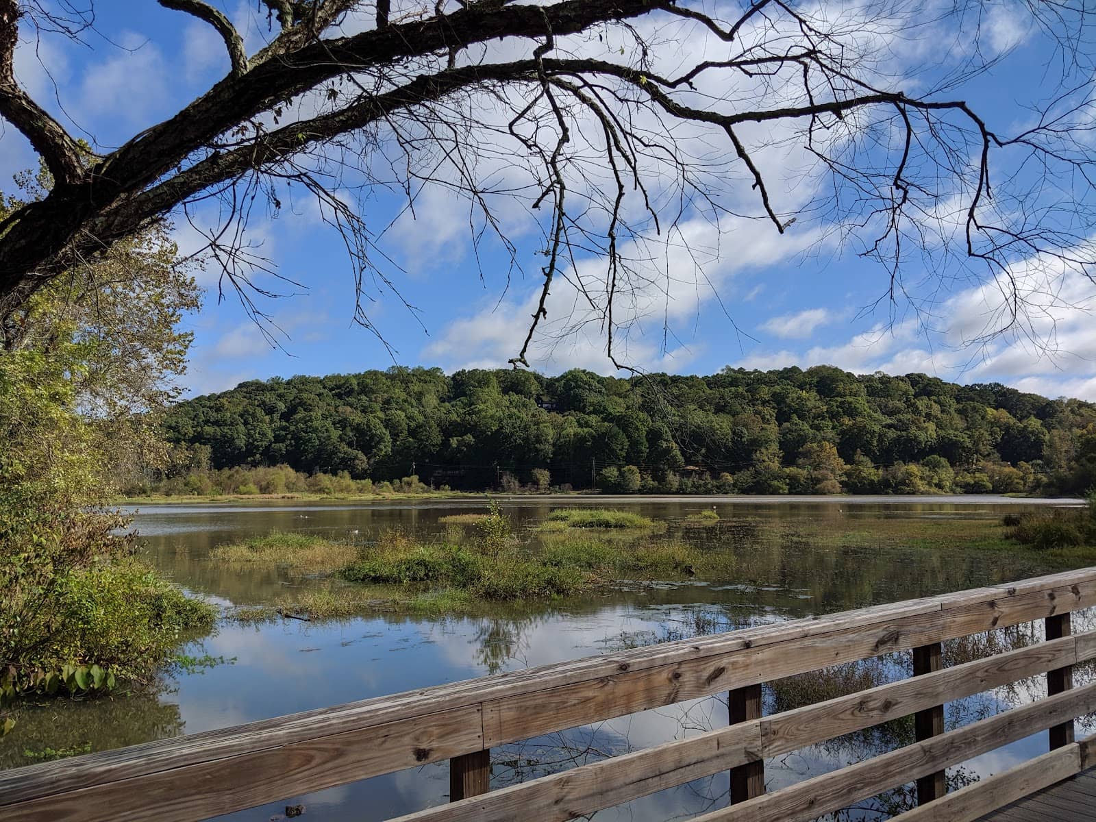 Accessible Boardwalk