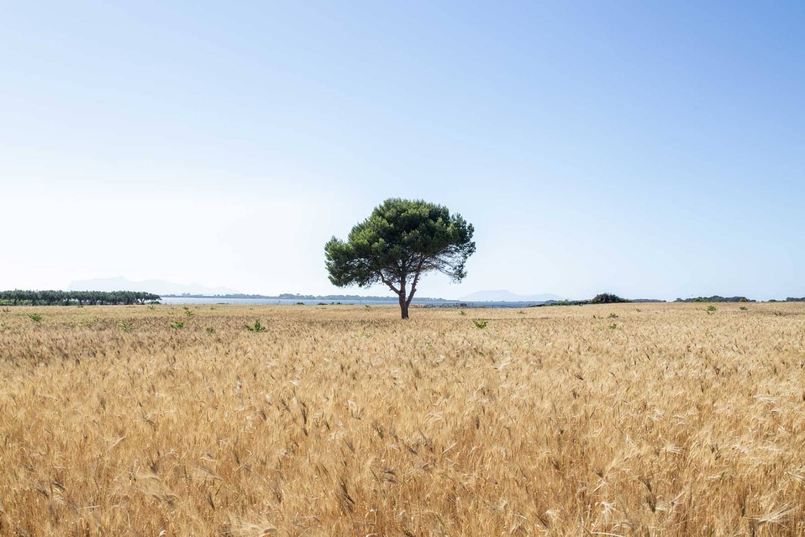 Laguna dello Stagnone