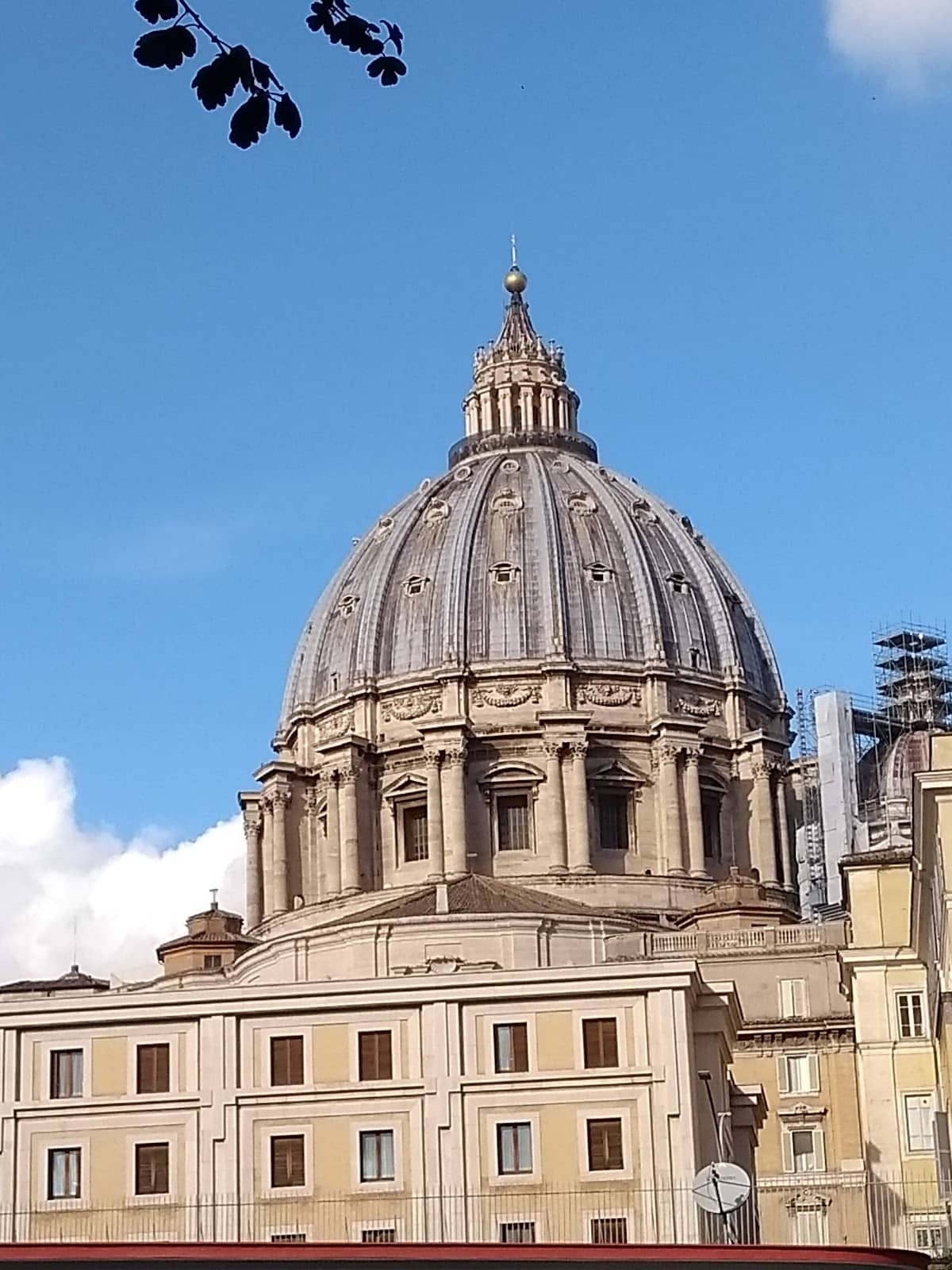 Exceptional Staff Service