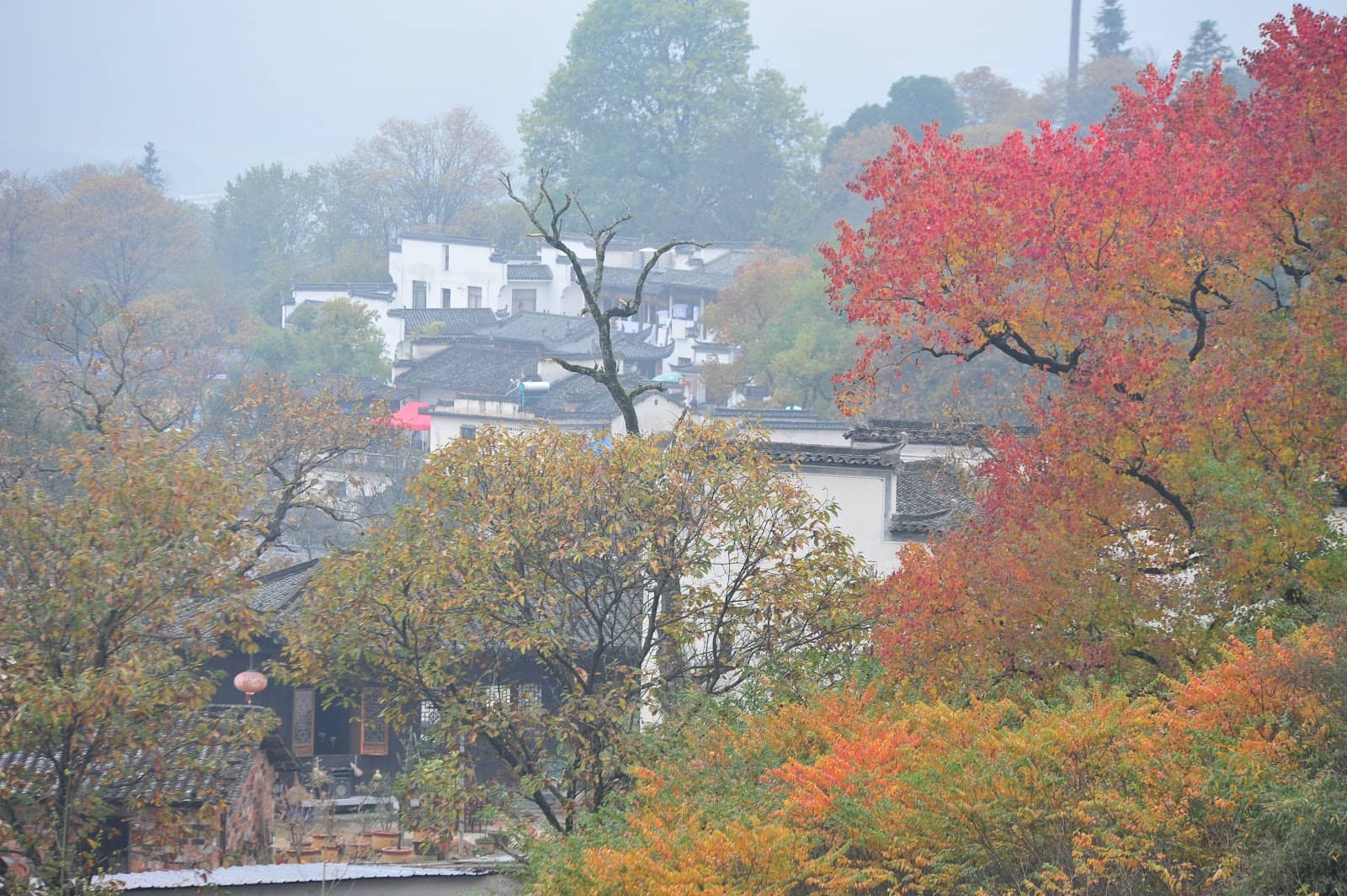 Panoramic Village Views