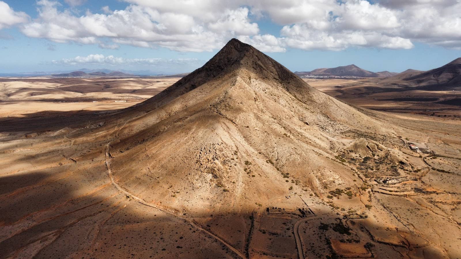 Sustainable Electric Vision