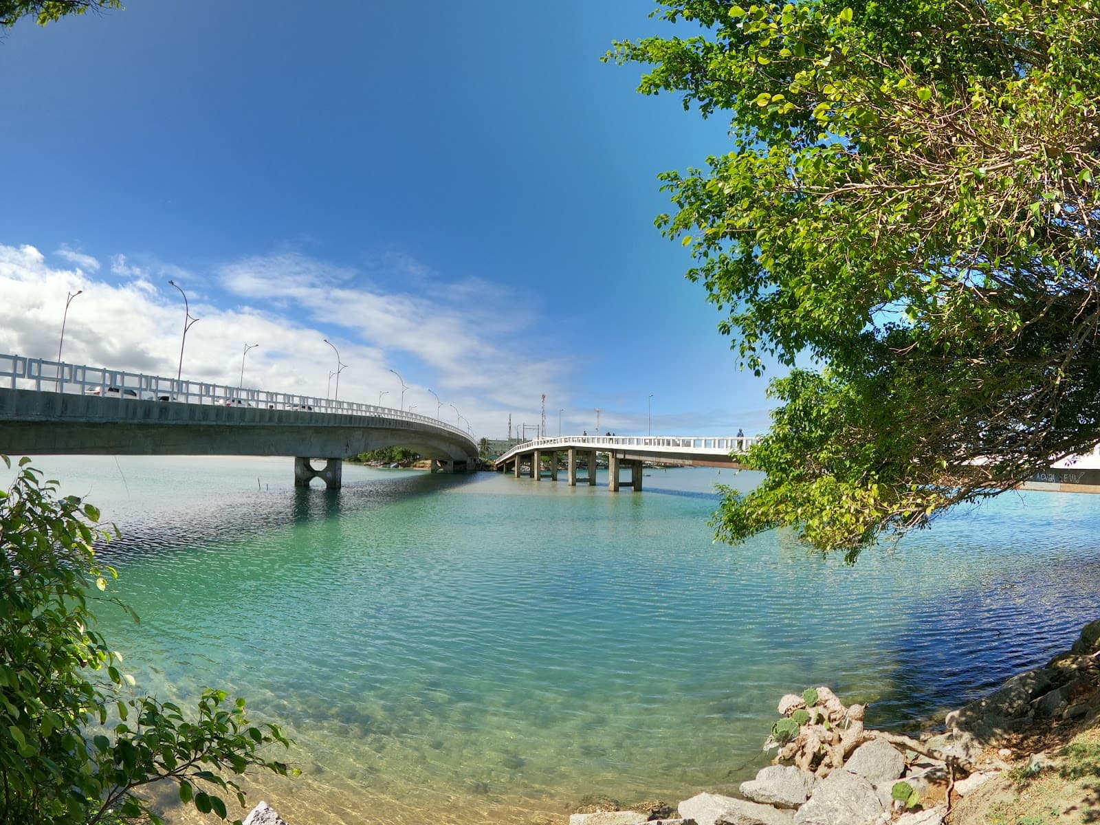 Ponte Darcy Bravo - Image 1