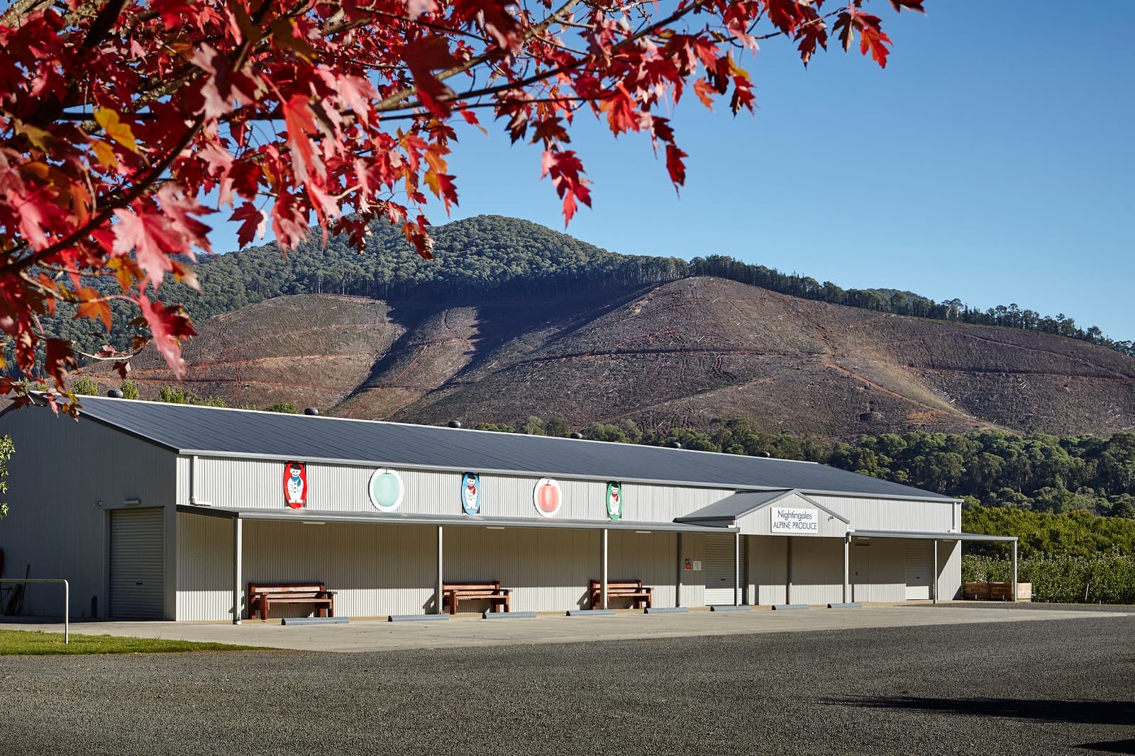 Nightingale Bros Orchard - Image 1