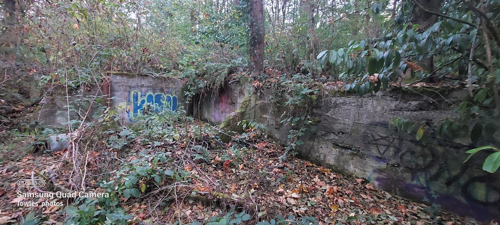 Des Moines Creek Trail & Park - Image 1