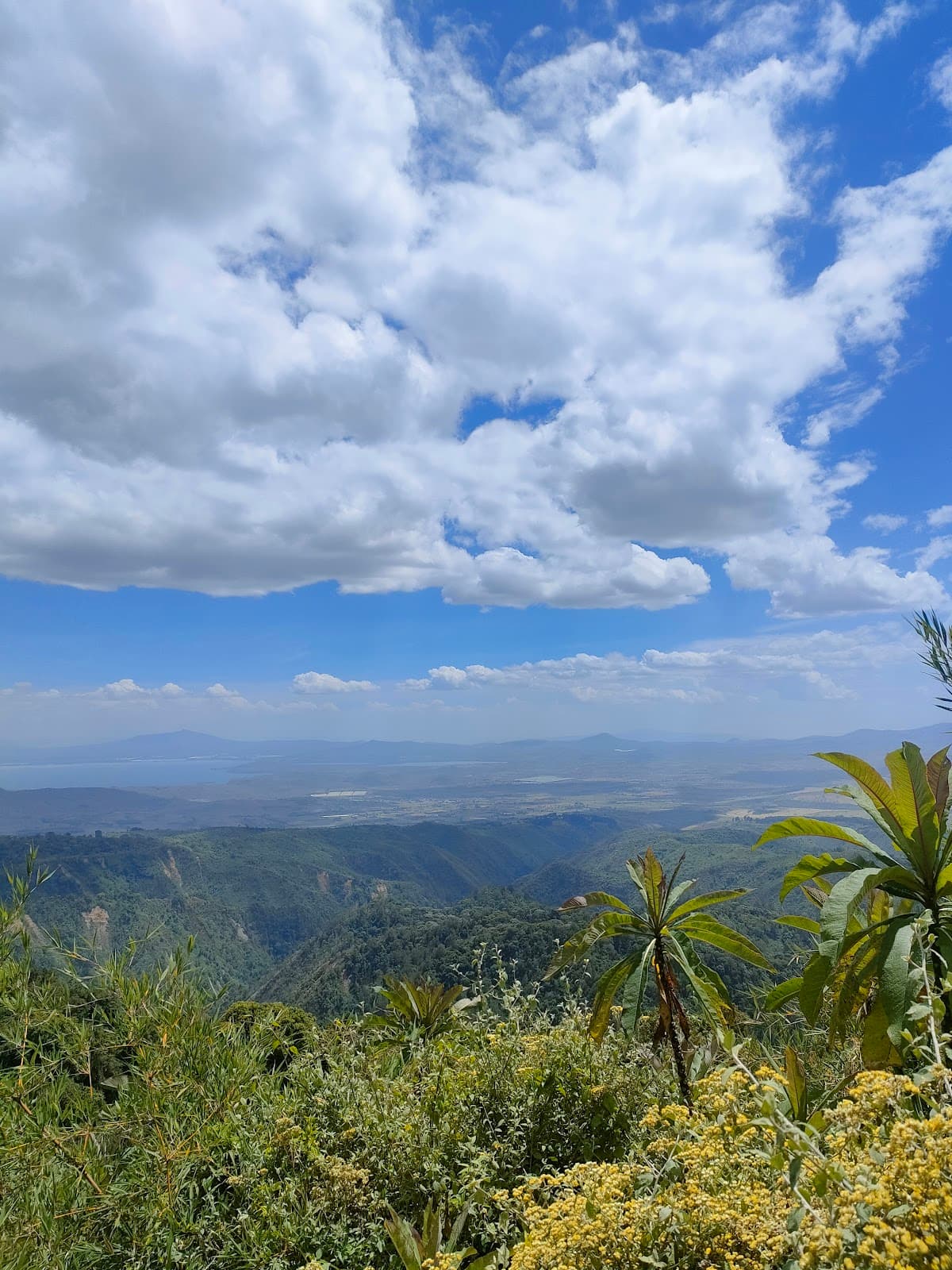 Eburu Forest Reserve - Image 1