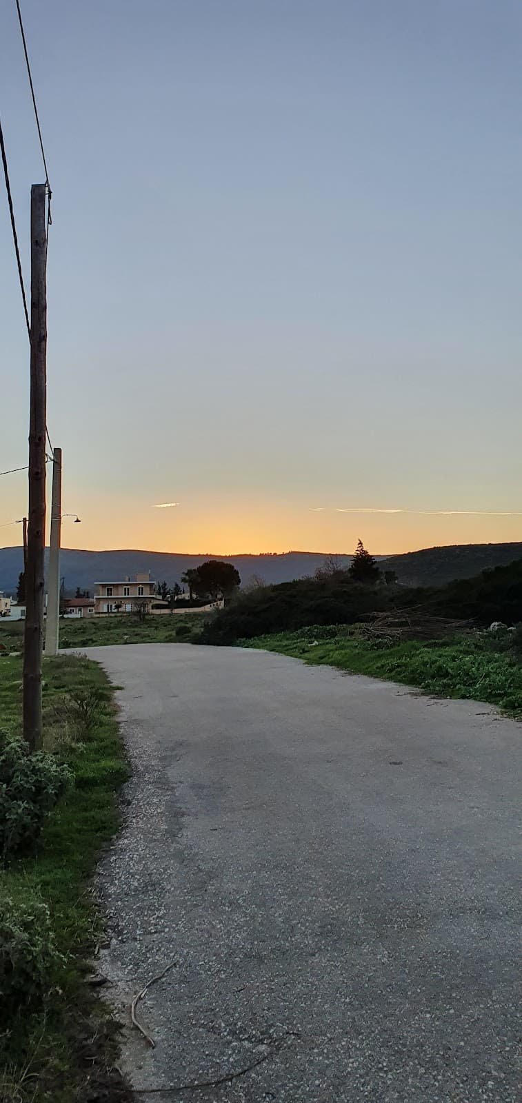 Athens Marathon Start - Image 1