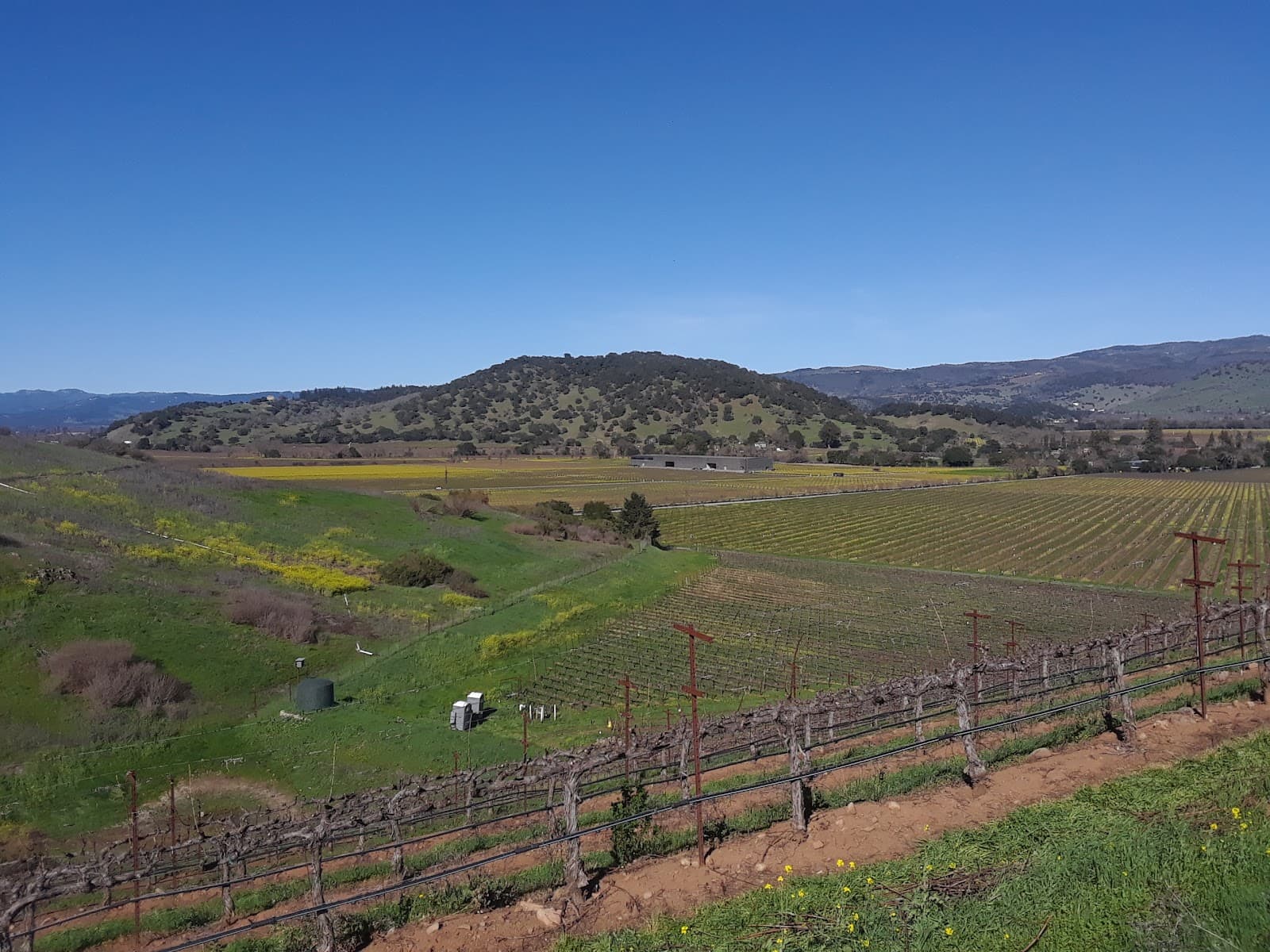Veterans Home of California – Yountville - Image 1