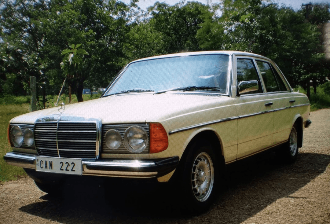 Vani Vilas Mohalla - Image 1