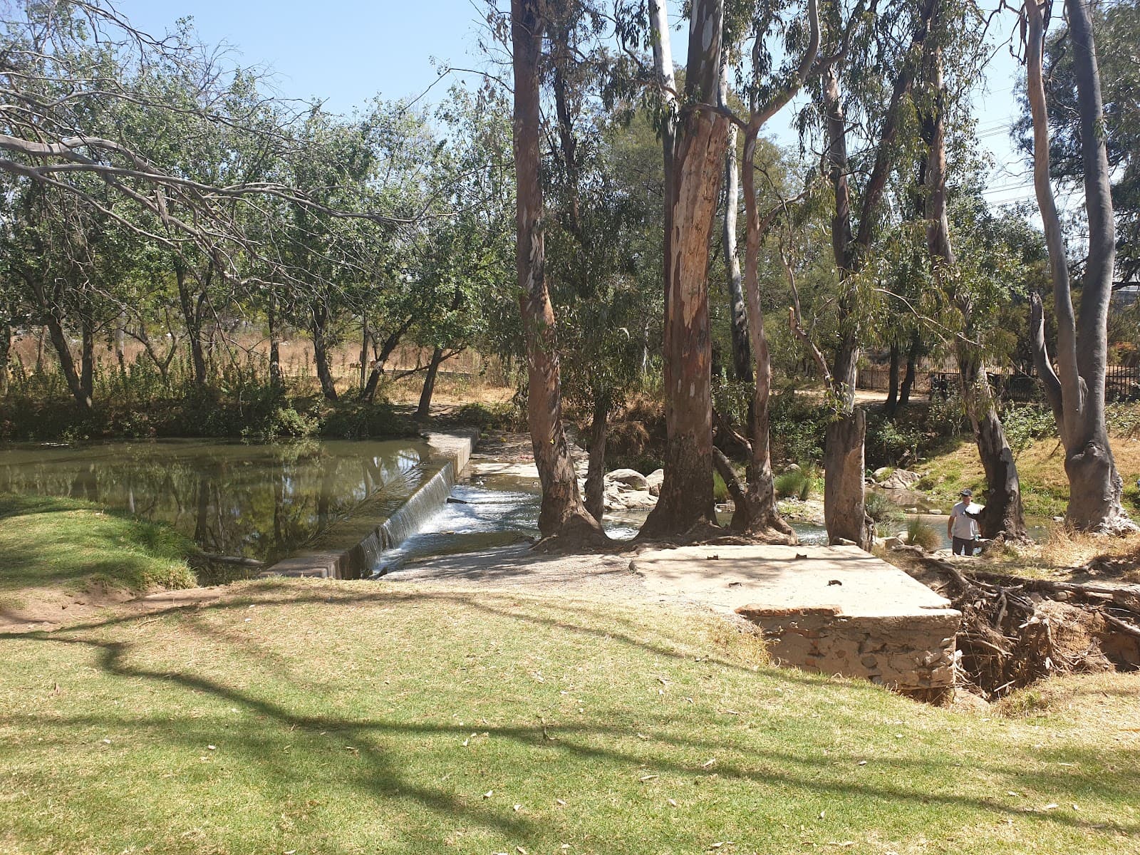 Field and Study Park Sandton - Image 1