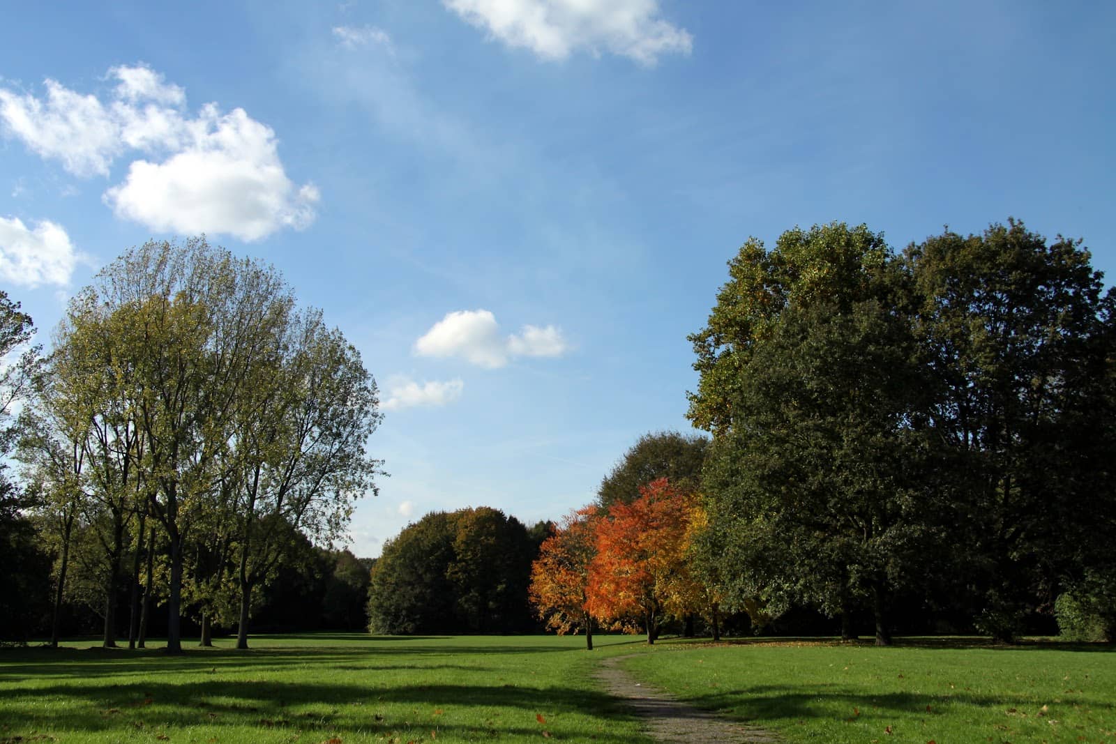 Walking and Cycling Paths