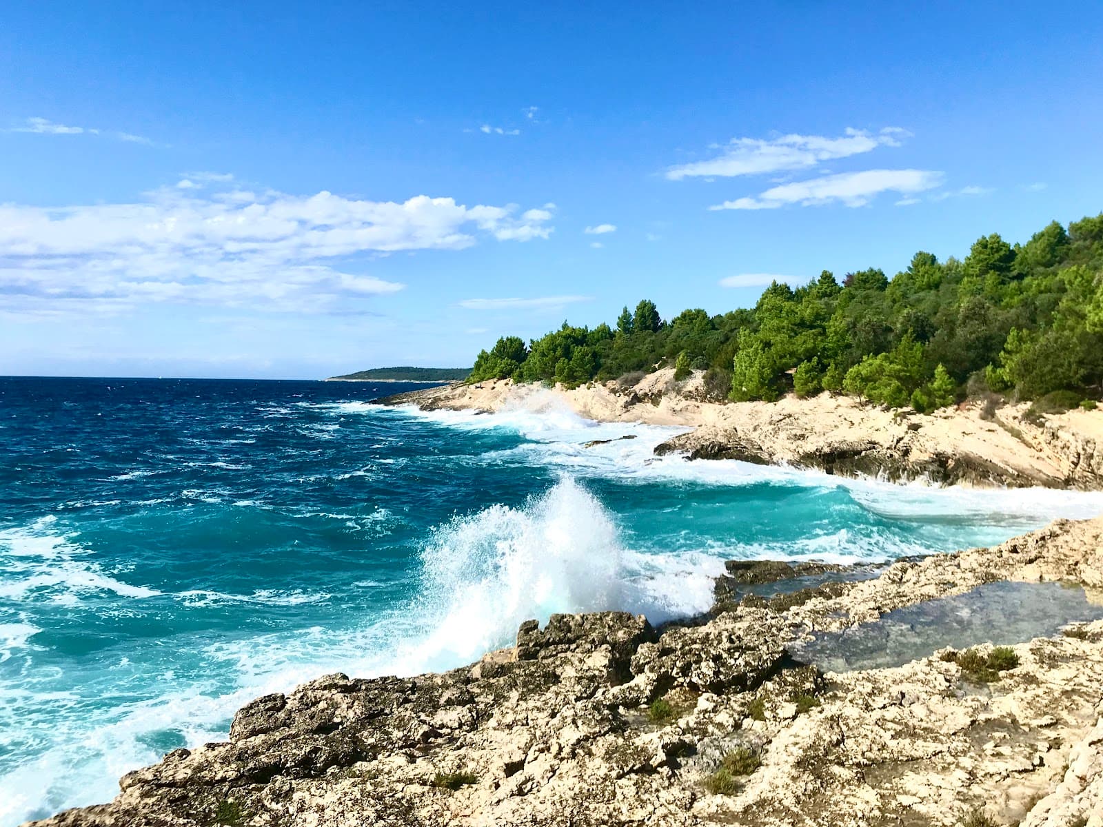 Fenoliga Island Dinosaur Footprints - Image 1
