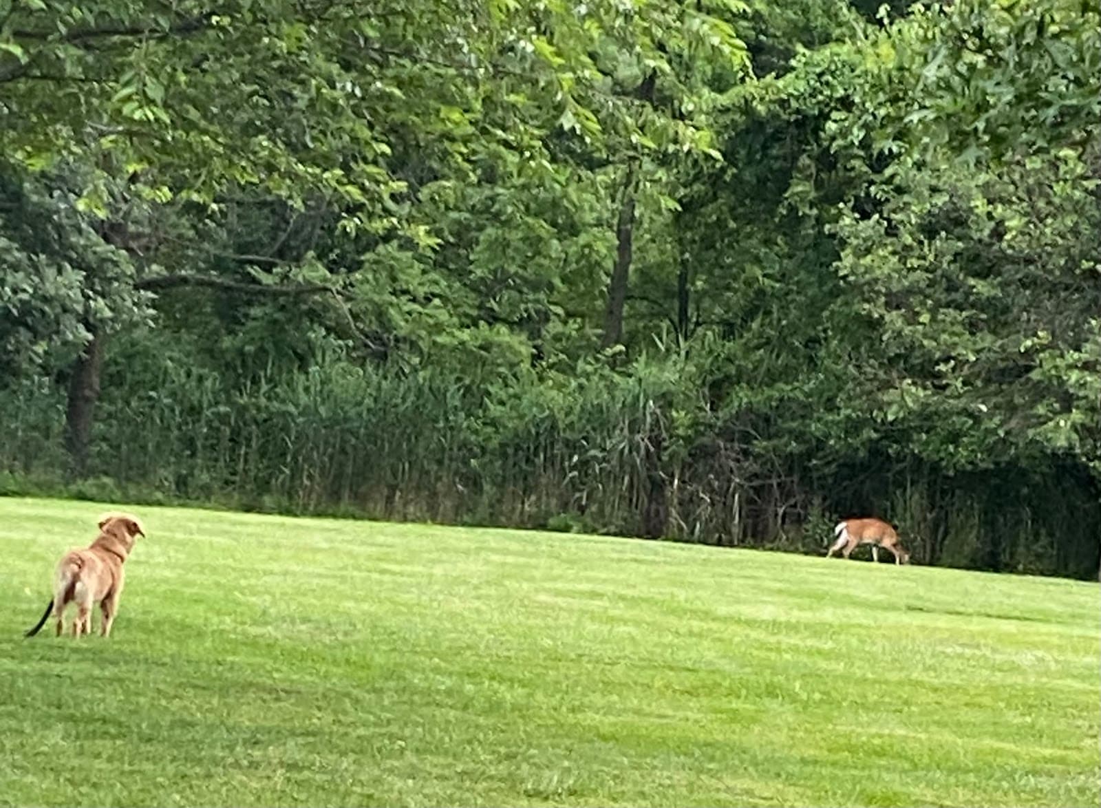 Bensalem Central Park - Image 1