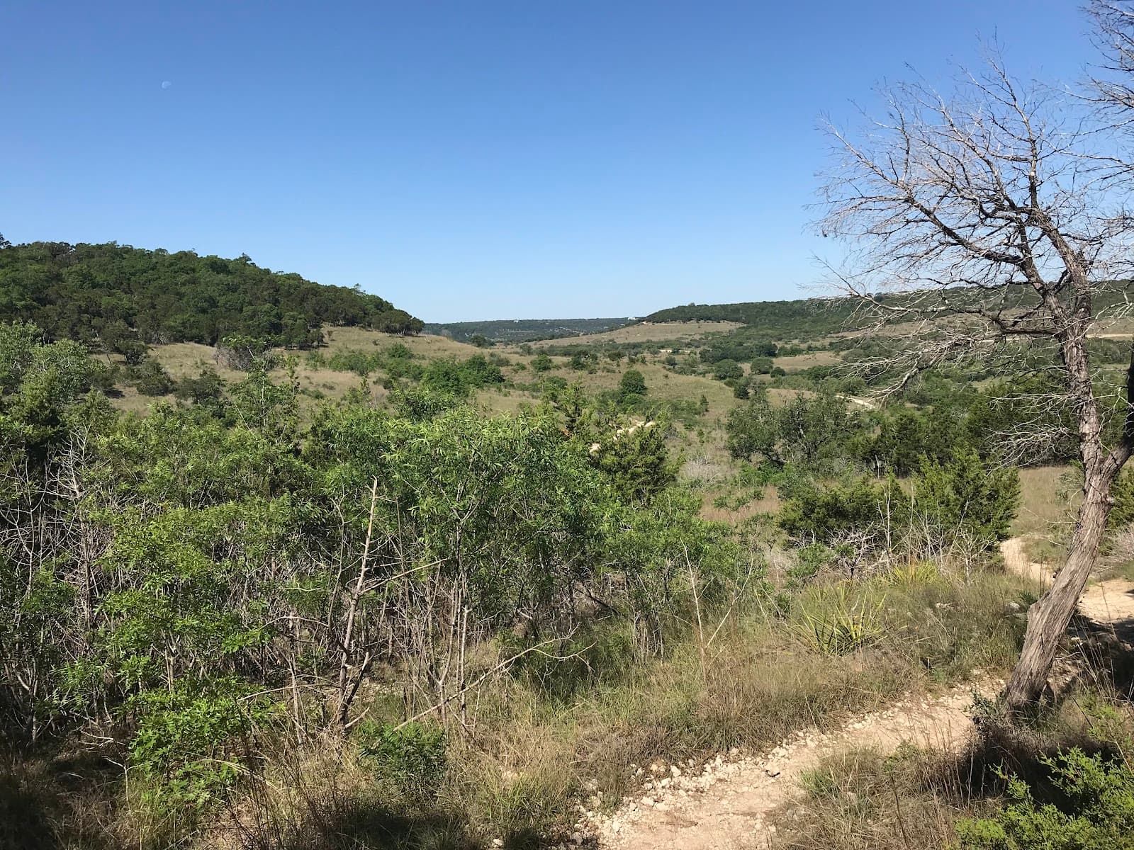 Balcones Canyonlands NWR — Doeskin Ranch - Image 1