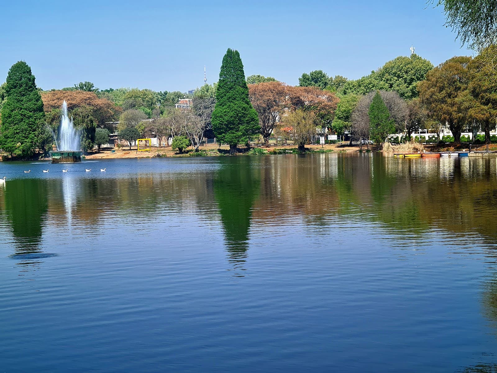 Zoo Lake - Image 1