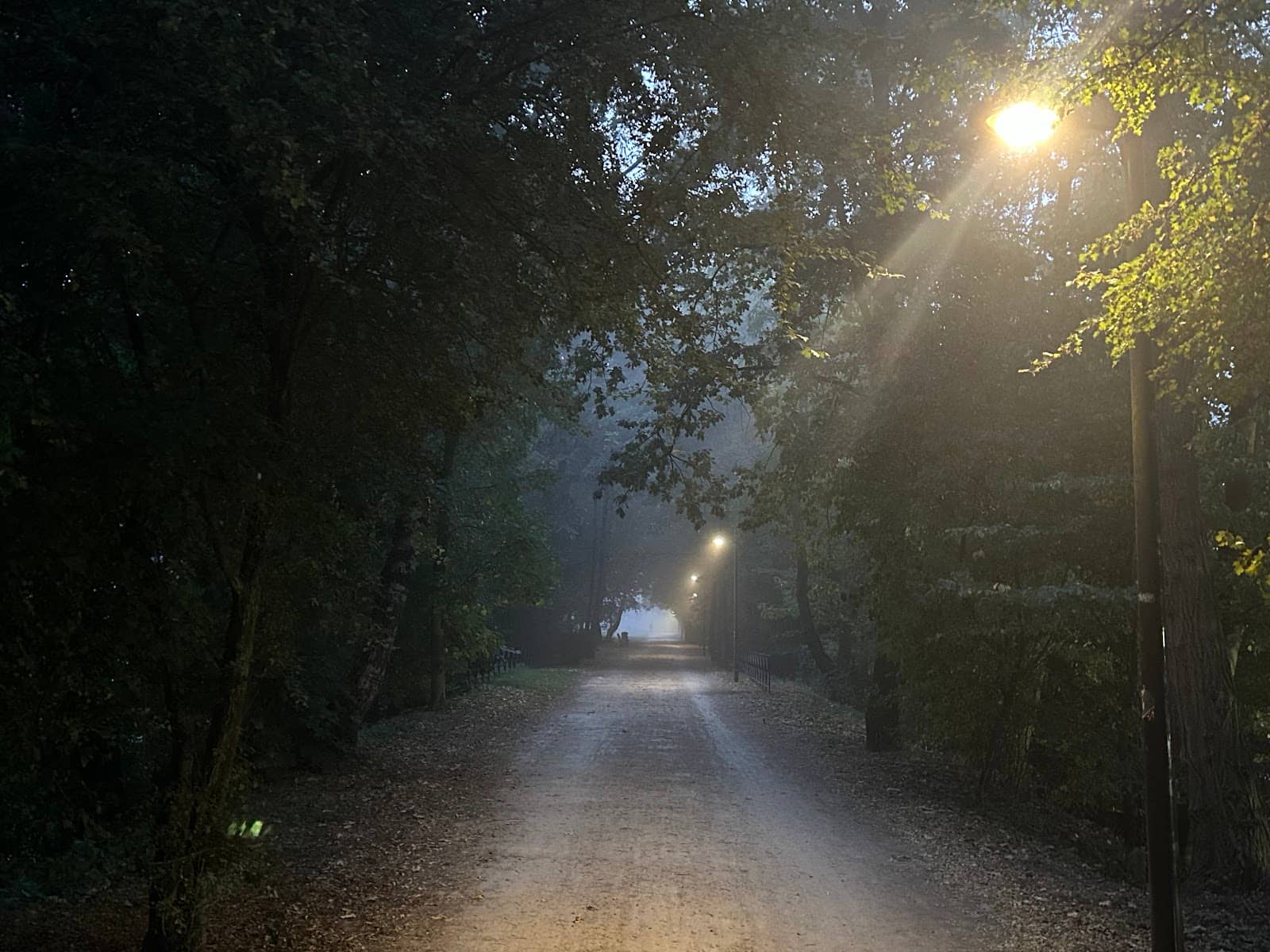 Musee du Tram Access