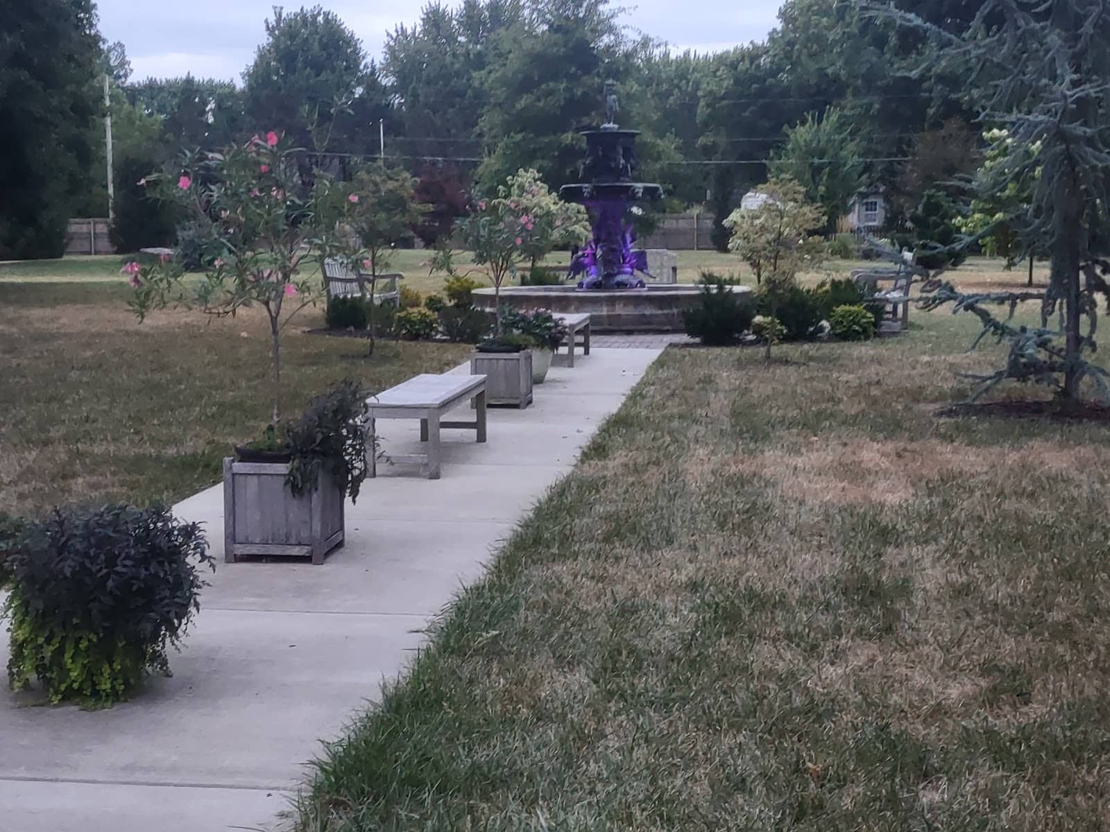 Local Culinary Delights