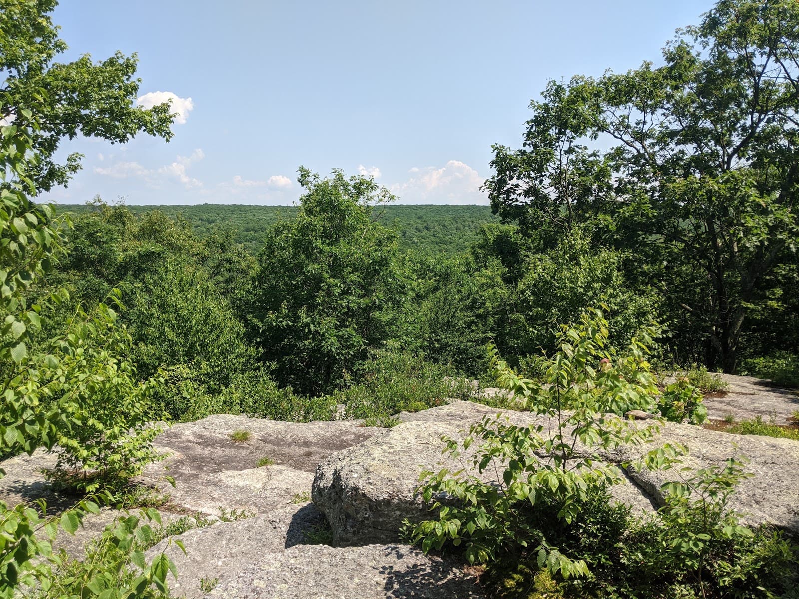 Bear Creek Preserve - Image 1